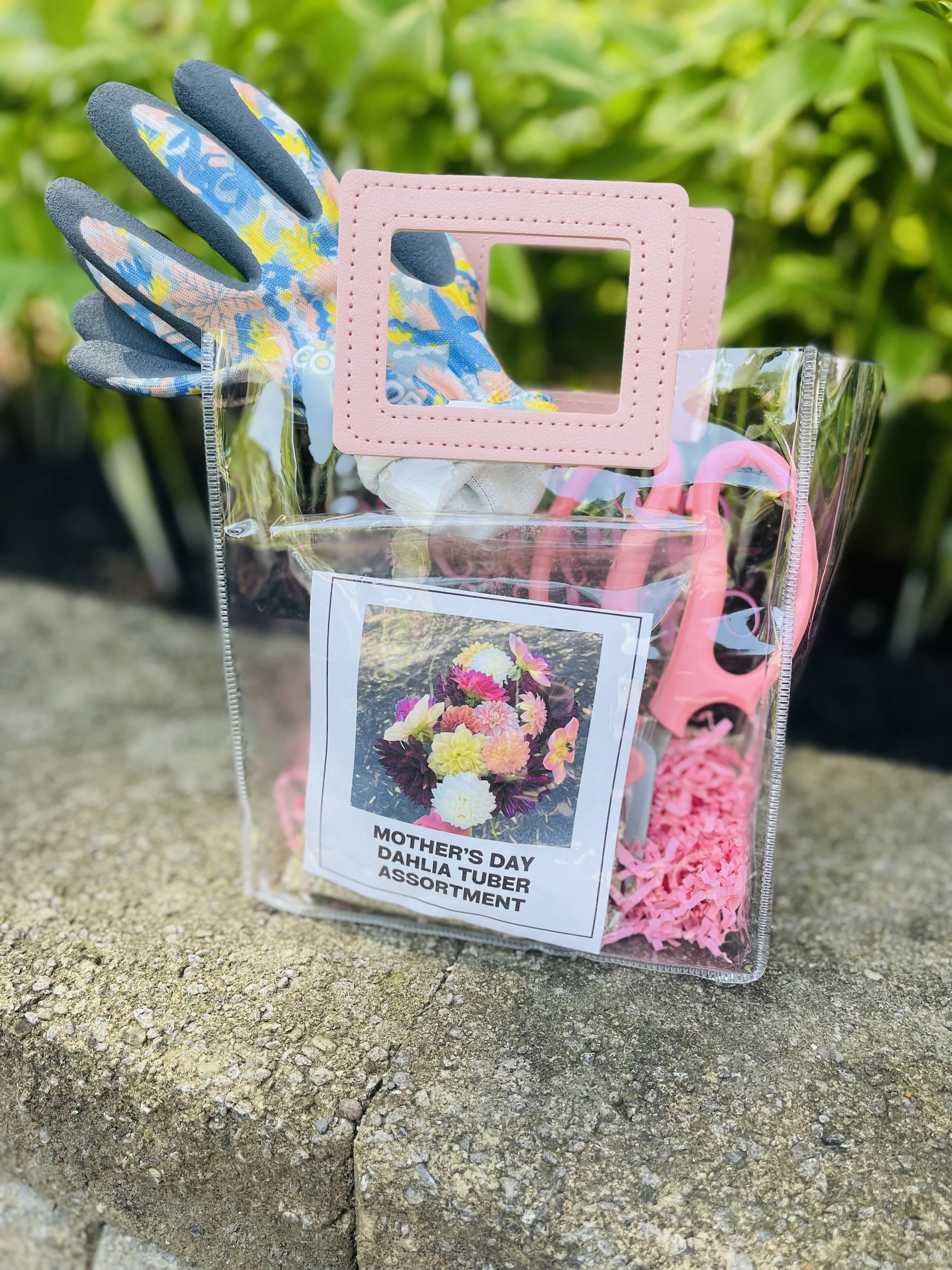 Mother's Day Dahlia Tuber Gift Bag