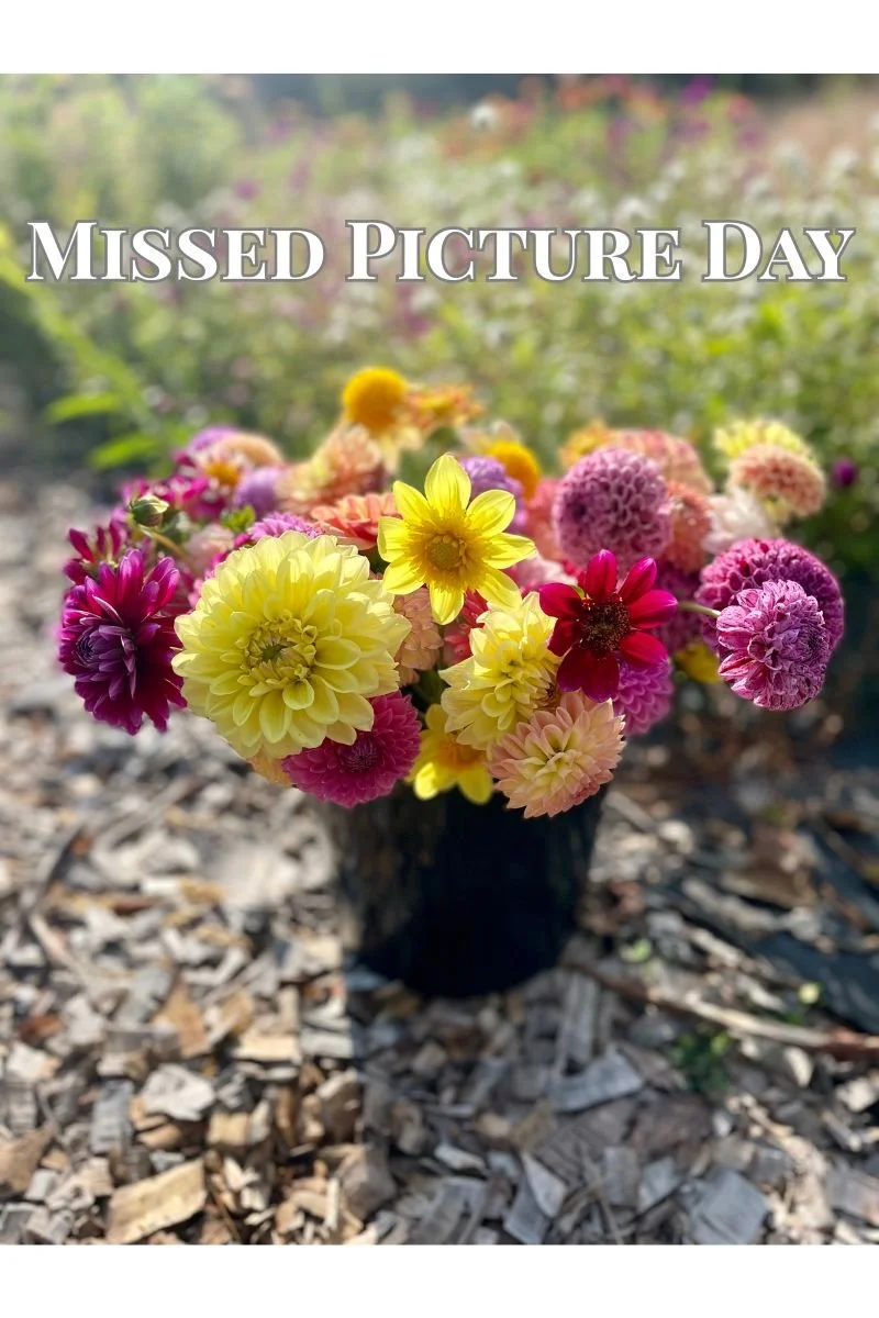 Missed Picture Day (3).jpg