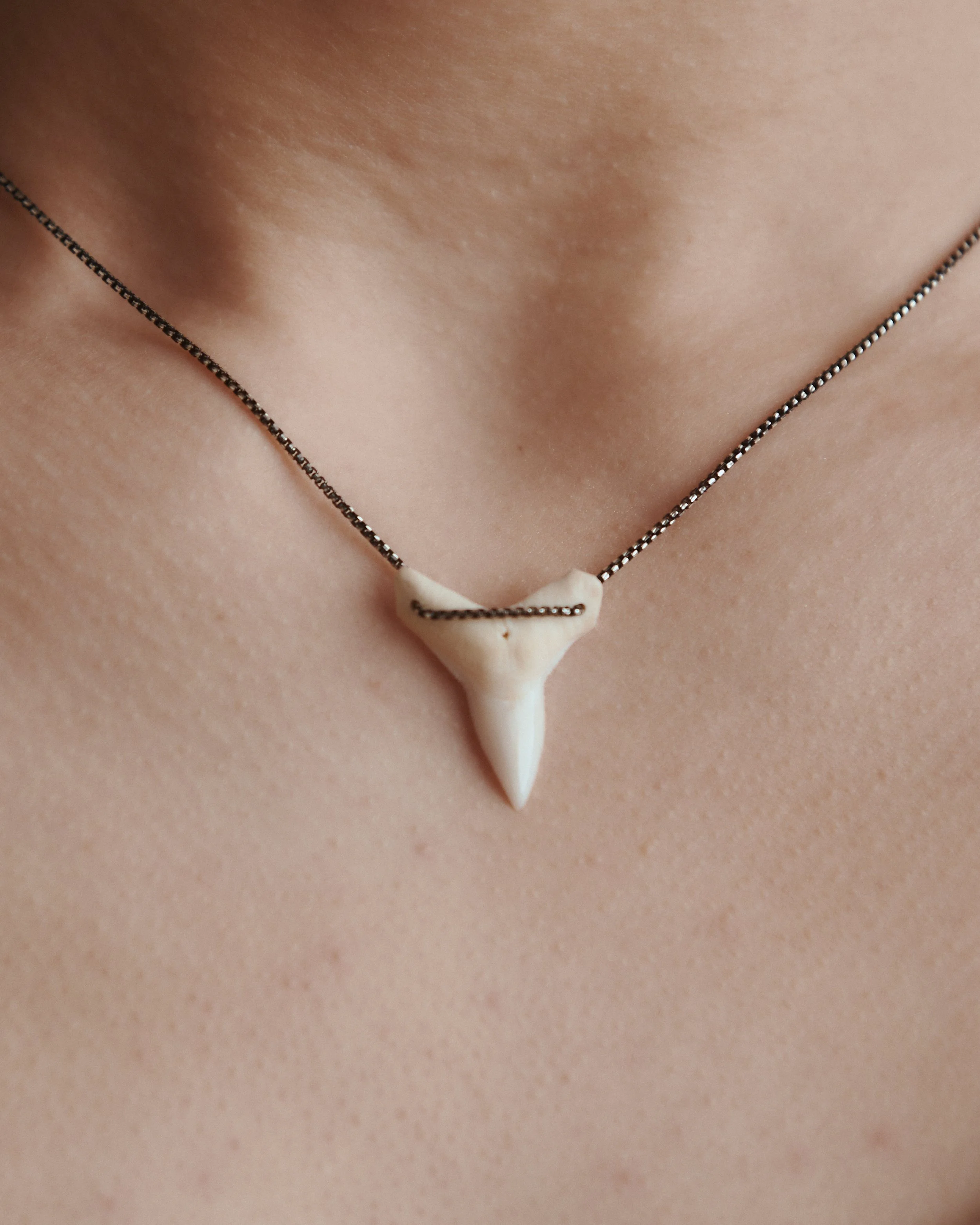 Shark Tooth Silver Necklace