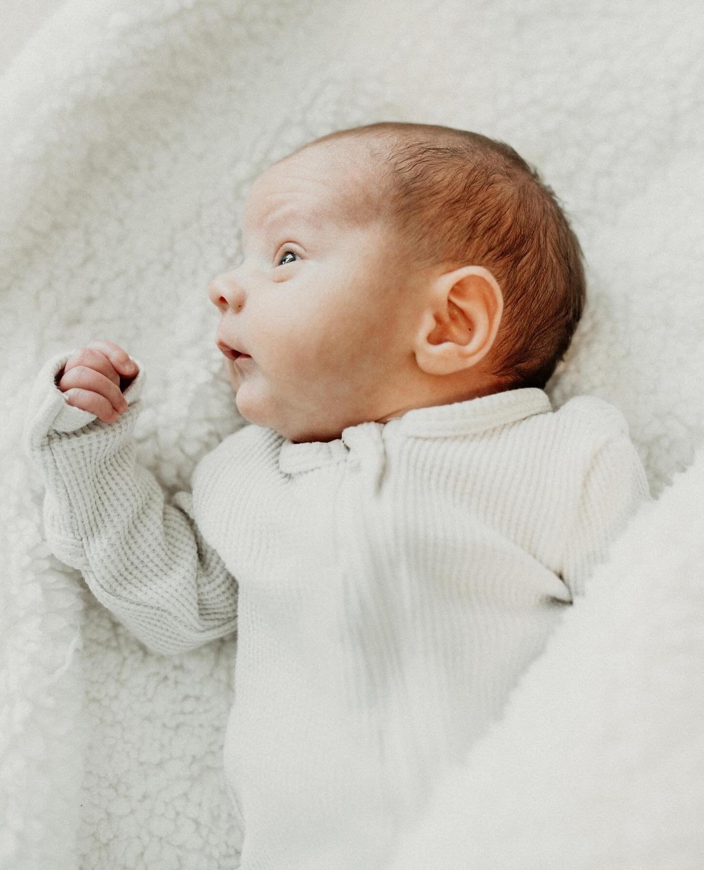 // welcome, precious baby Paxton! 🤎

Born a few weeks early, he&rsquo;s settling right in at home! So grateful for the opportunity to capture another milestone for the sweet Stasik fam 🥰🥰