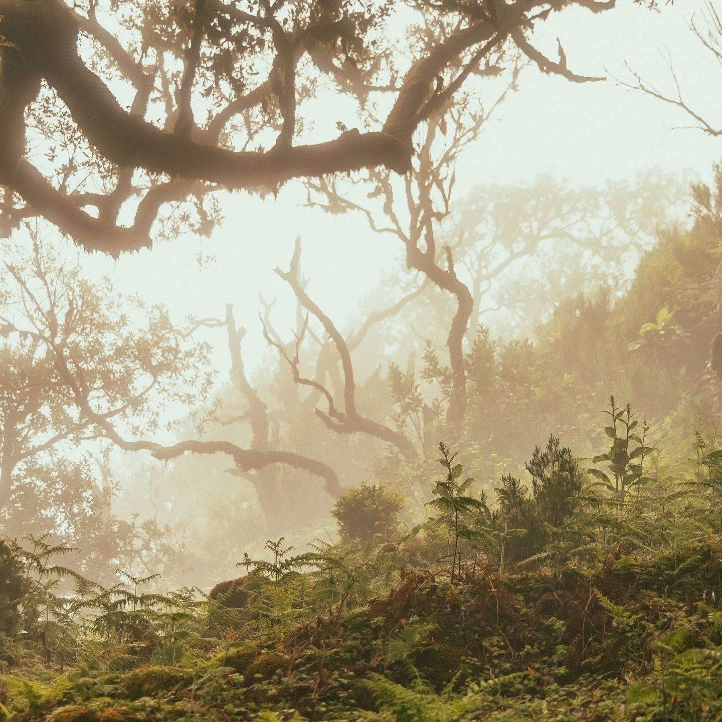 Inspiration.

The creative process begins with a treasure hunt for visual inspiration, as we delve into magazines, digital collections and our own archives to curate the direction for the journey ahead.

I&rsquo;m loving this one especially 🤎