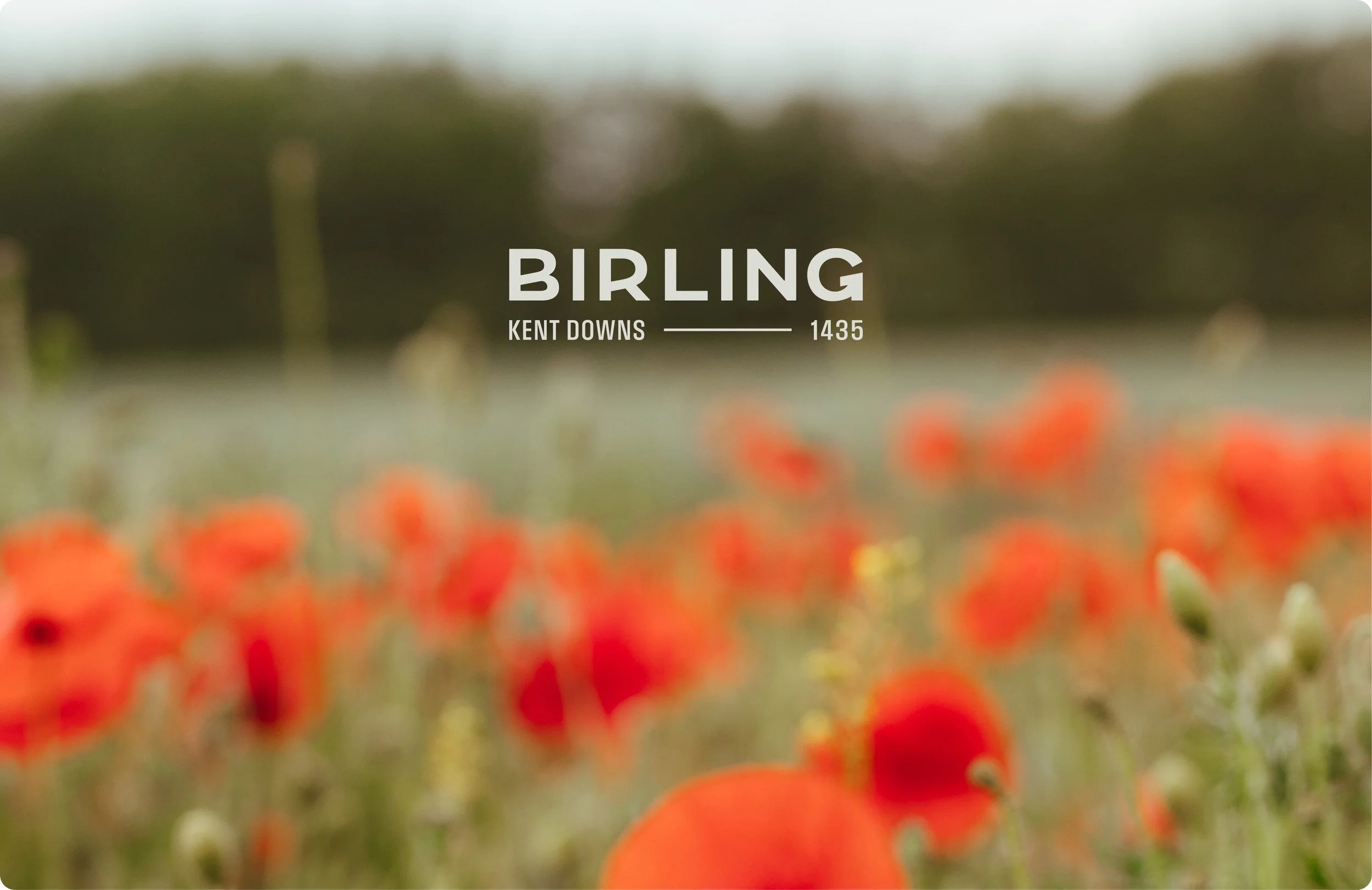 Birling Estate logo design and branding created by Ditto Creatuve