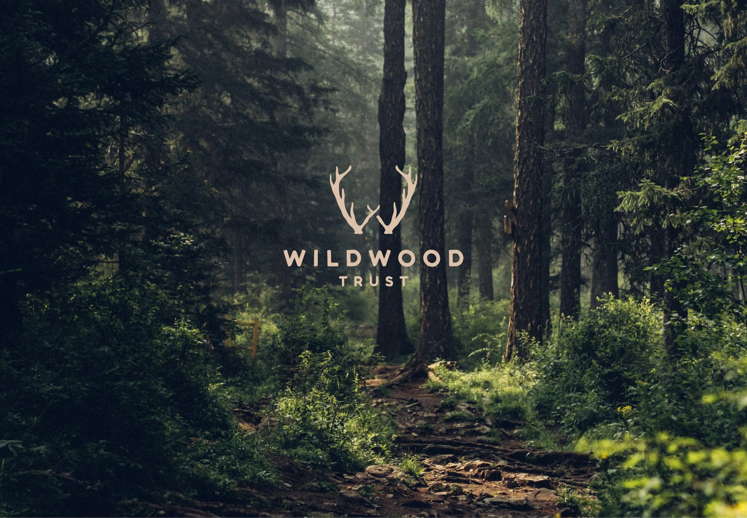 A forest scene with tall trees and dense greenery, with a path running through it. The text 'WILDWOOD TRUST' with a logo of antlers is visible in the center of the image.
