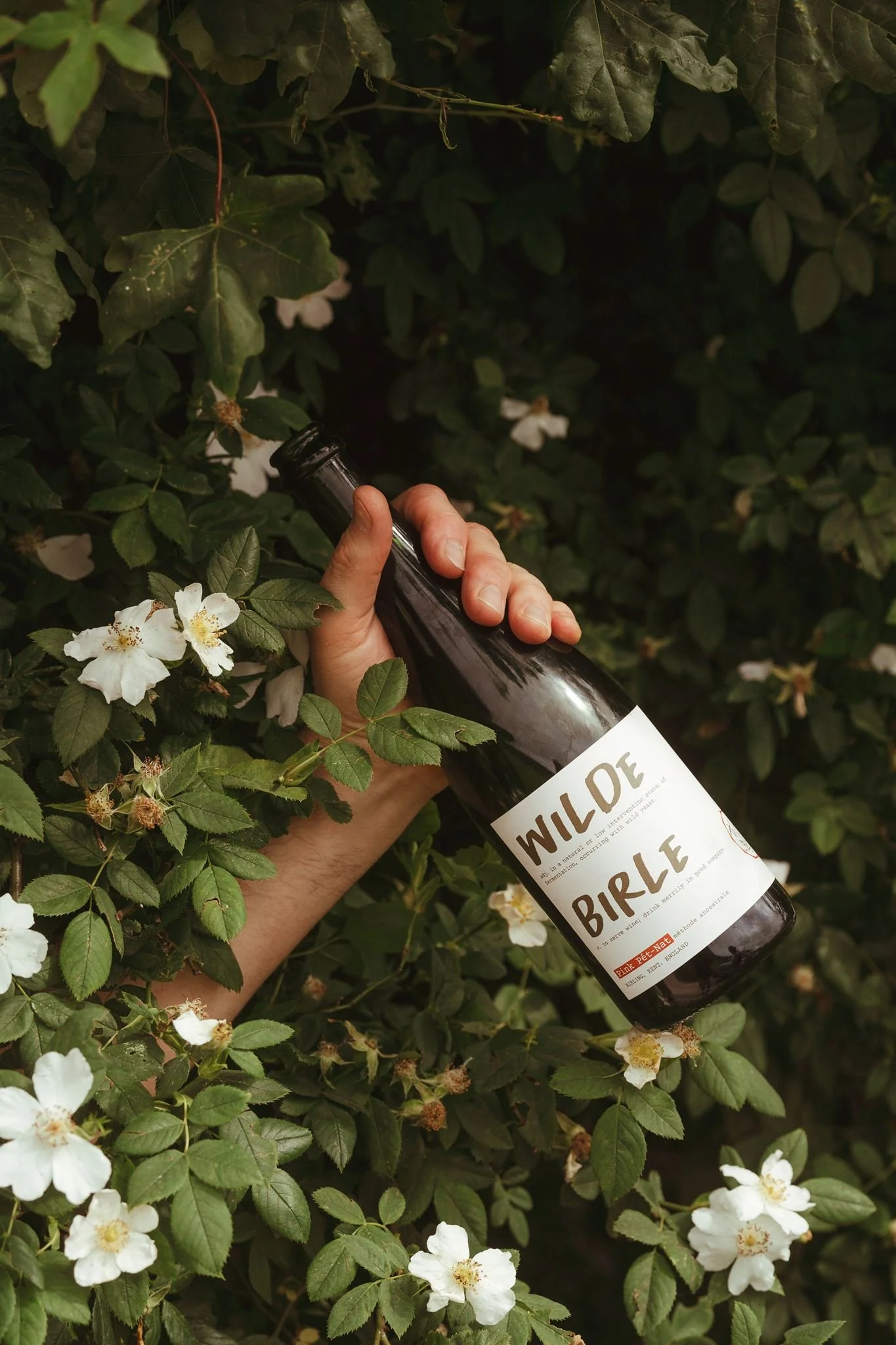 Wilde Birle, Birling Estate's debut wine, bottle designed by Ditto Creative, branding agency Kent
