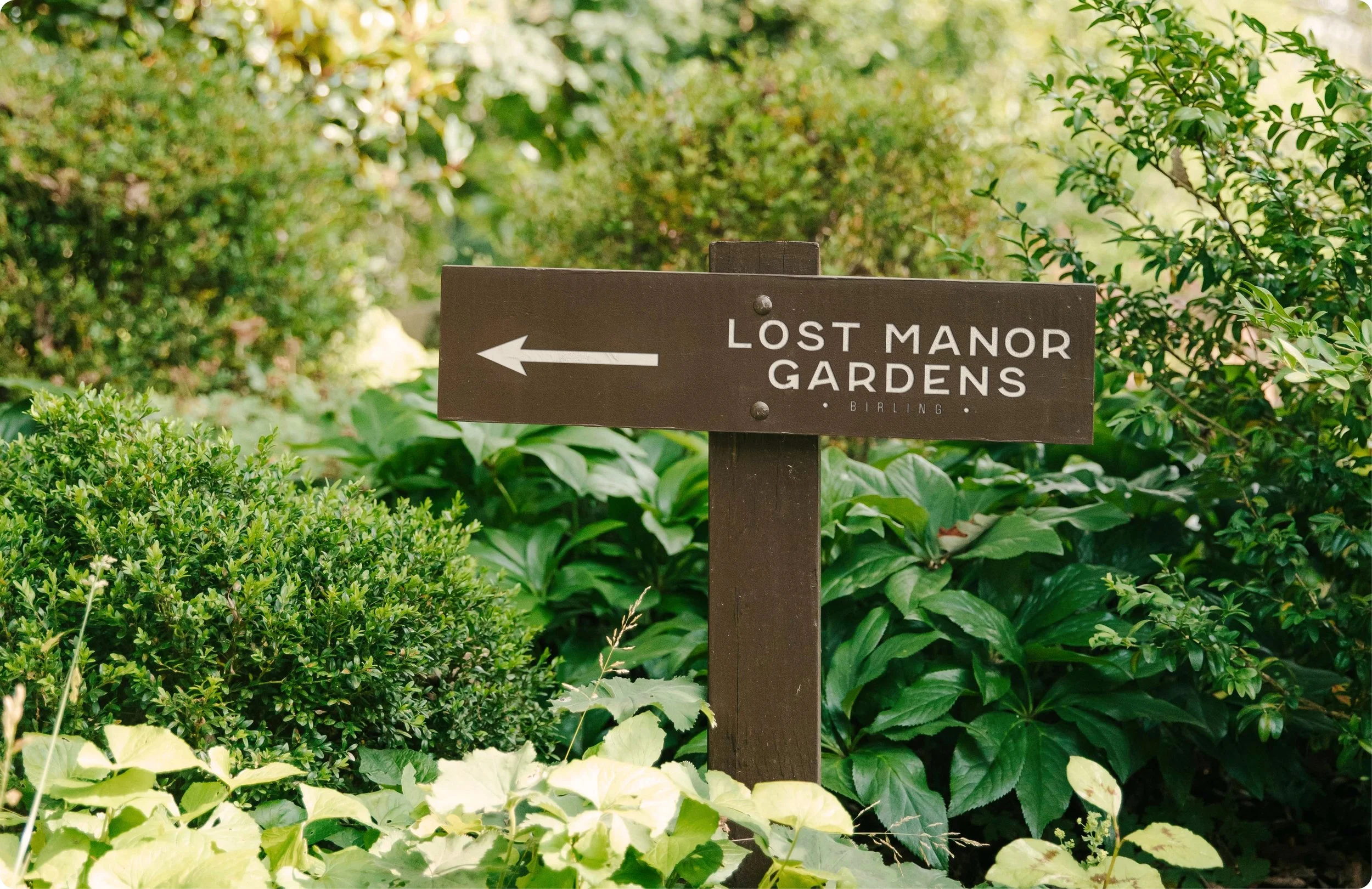 A wooden sign with an arrow pointing left that reads "Lost Manor Gardens Birling" is surrounded by lush green bushes and plants in a garden or park setting.