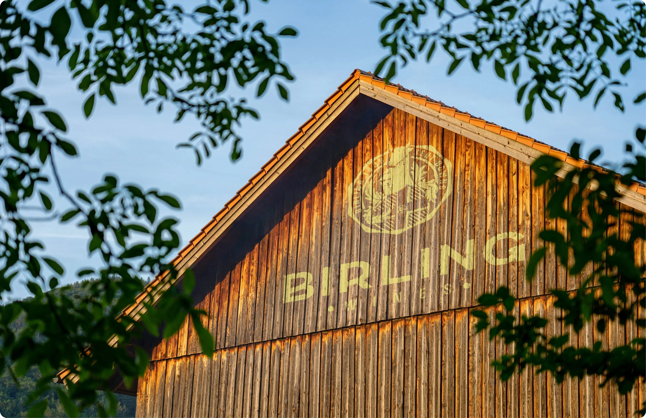 Birling Estate Wines designed by Ditto Creatuve, Kent branding agency