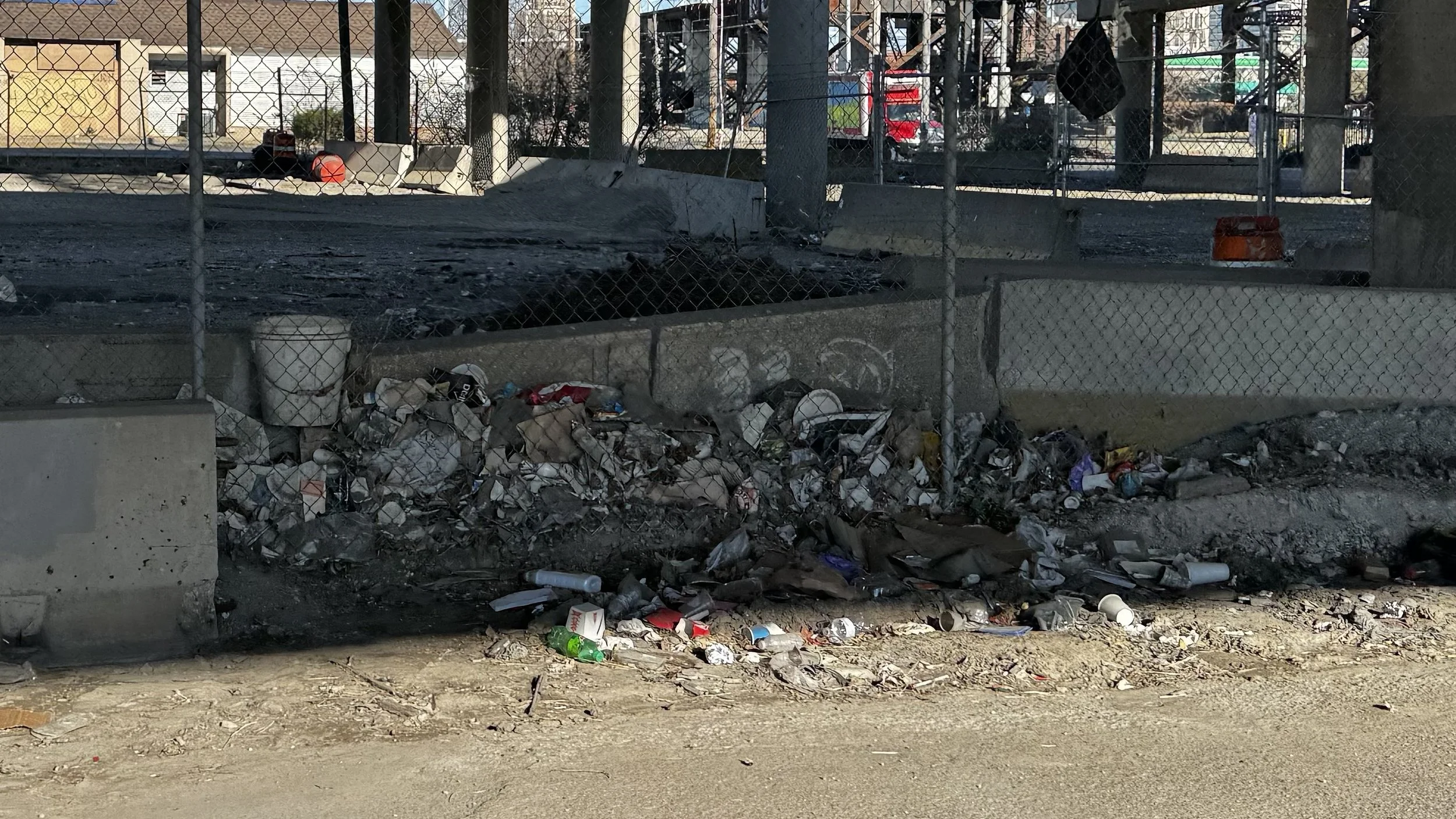Beautification Clean-up with StL Cleanup Crew