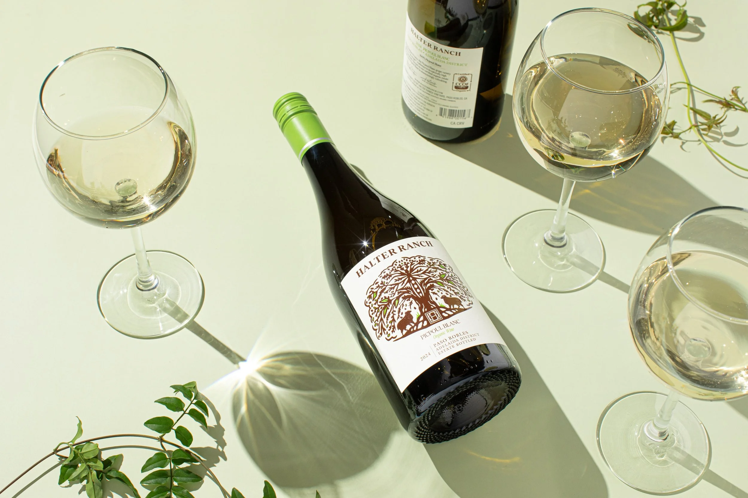 Halter Ranch Organic Picpoul Blanc