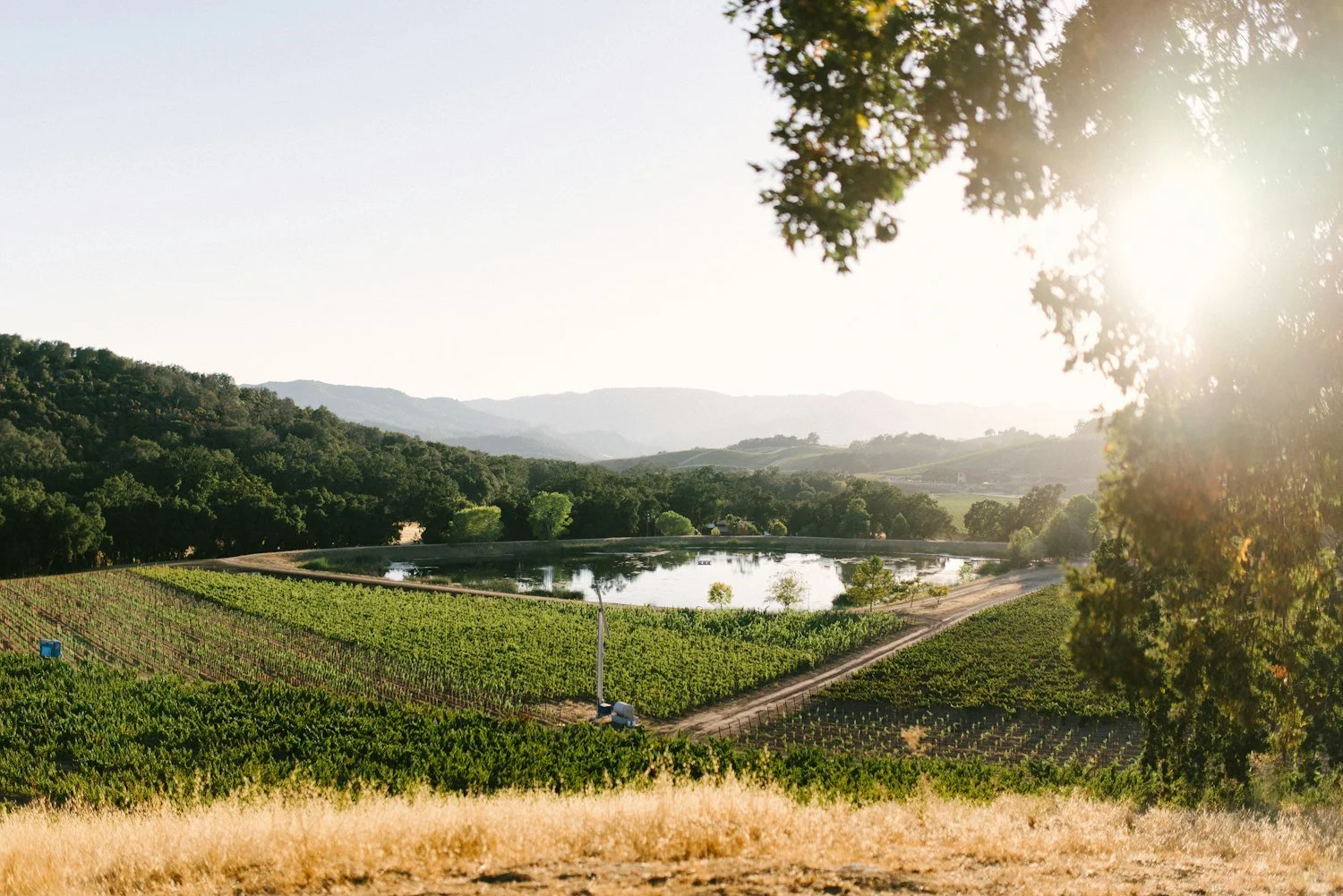 About Halter Ranch | Halter Ranch