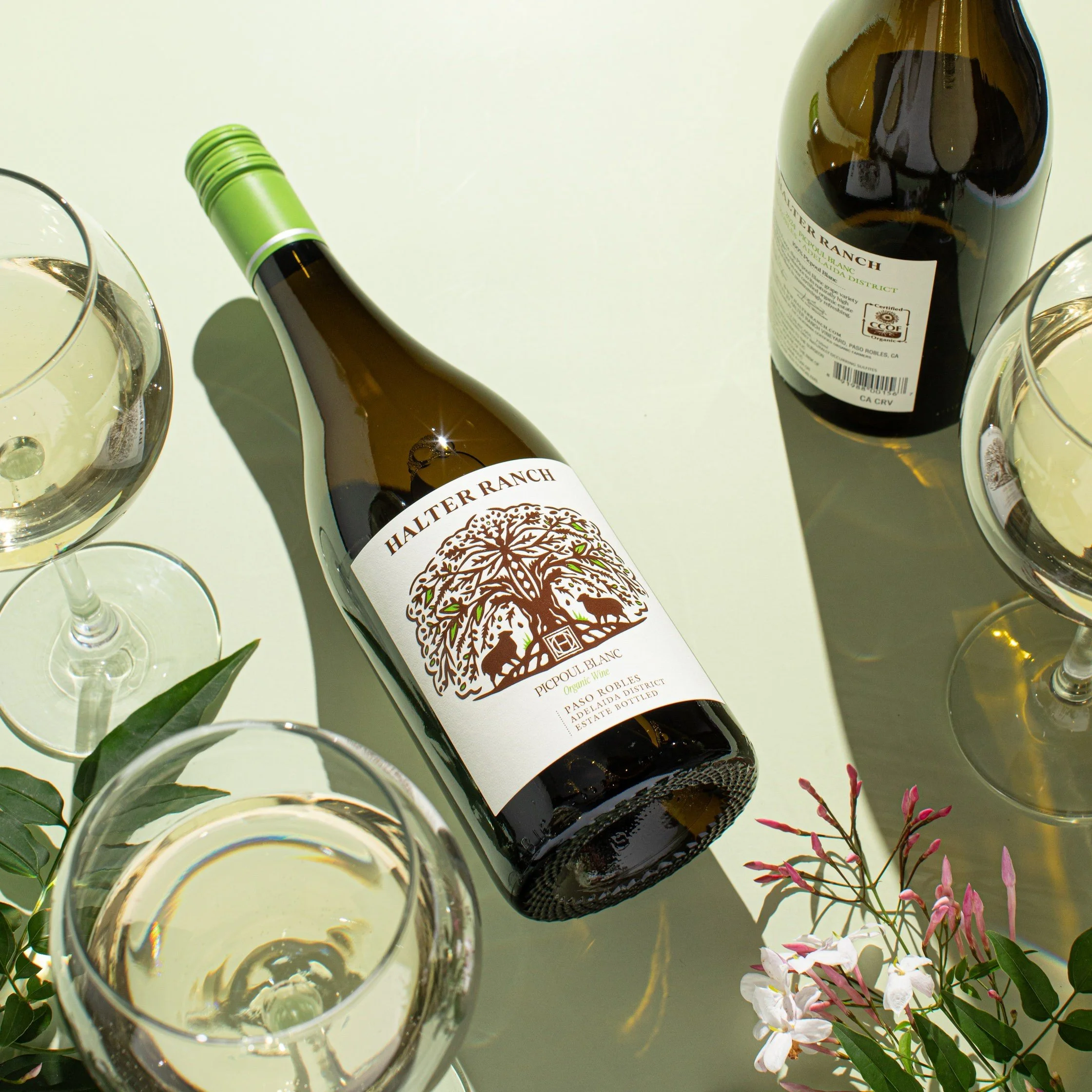 Halter Ranch Organic Picpoul Blanc