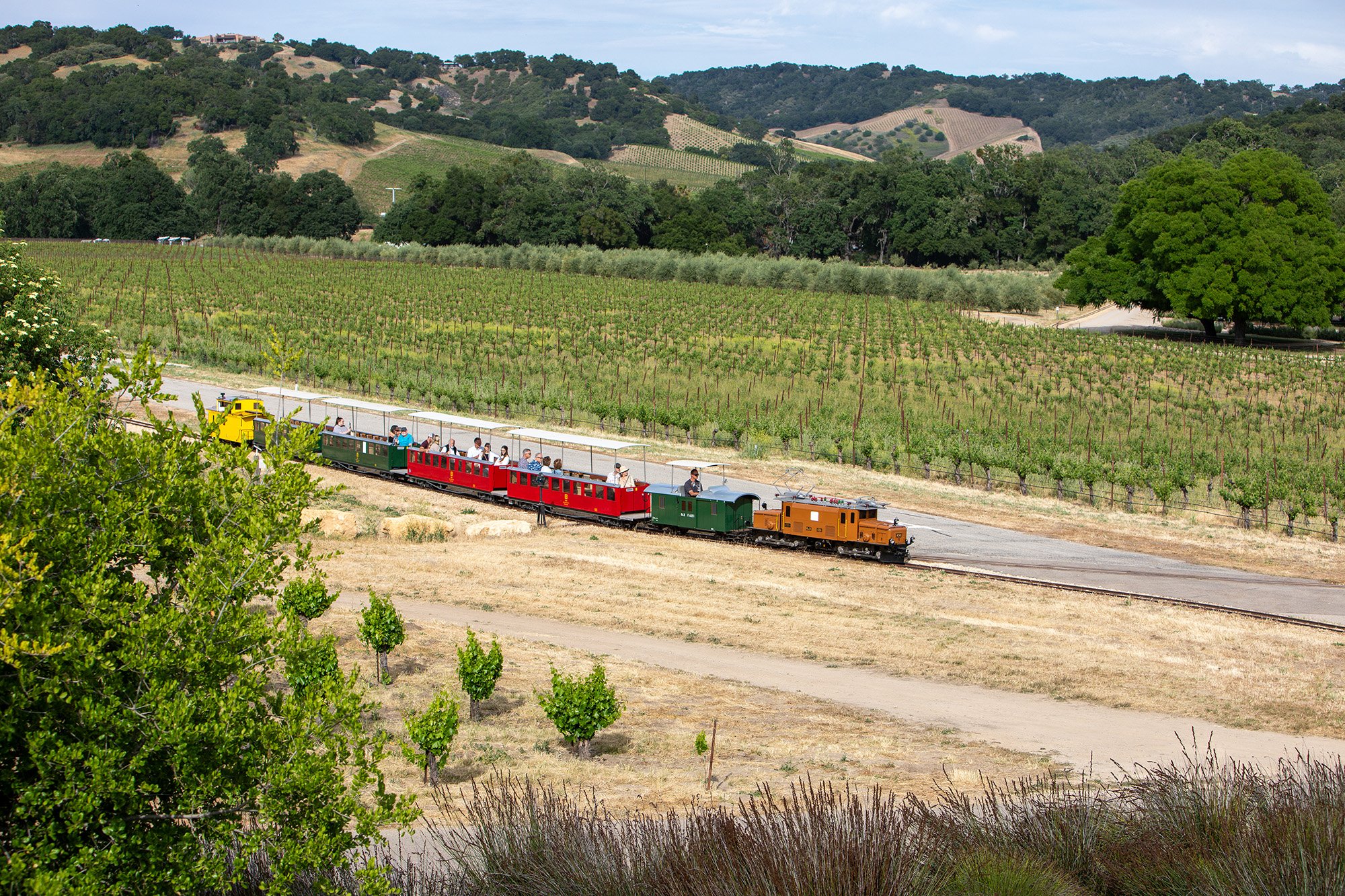 Halter Ranch Estate: Wine Train & BBQs