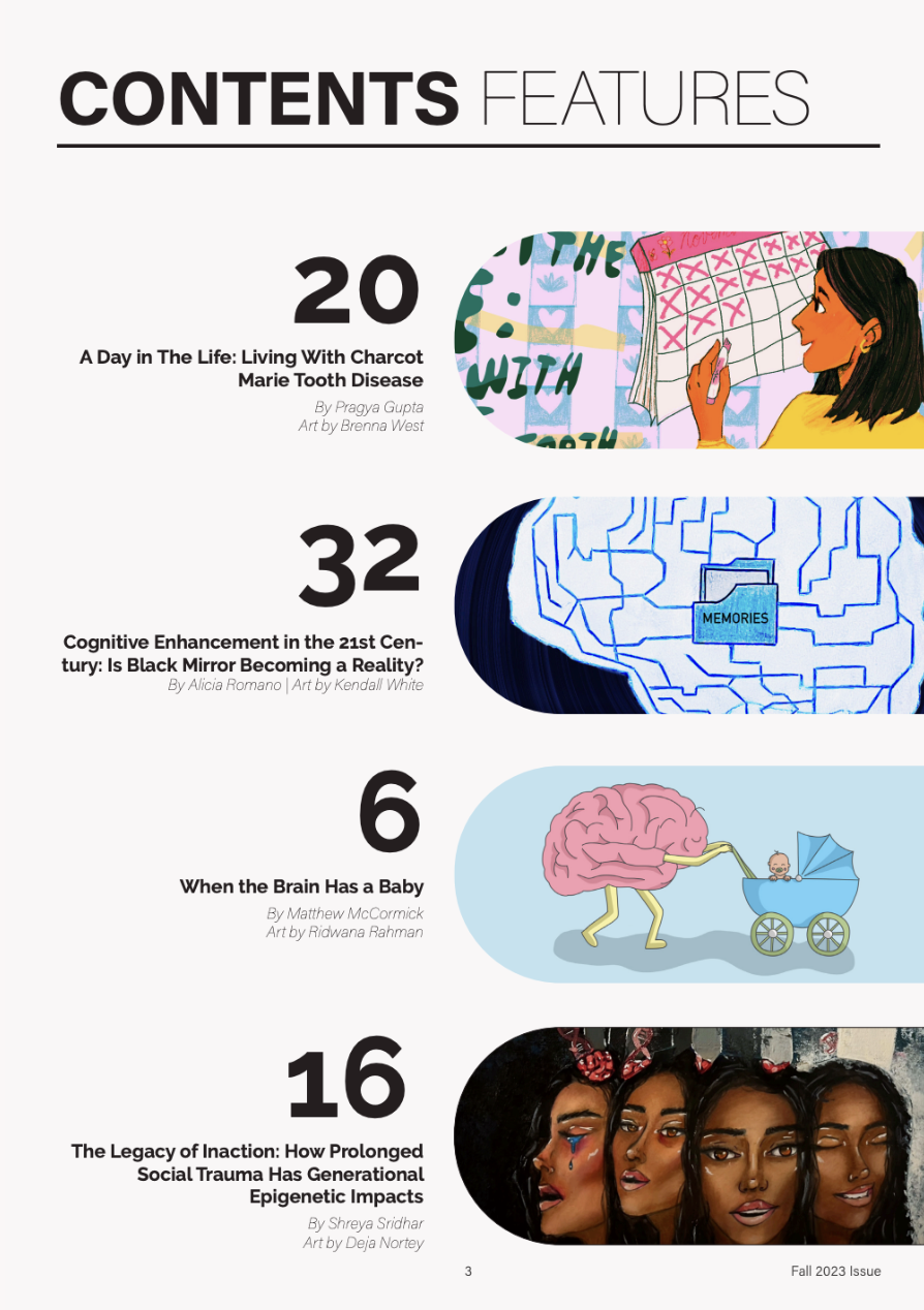 Screenshot 2024-08-06 at 21.41.44.png