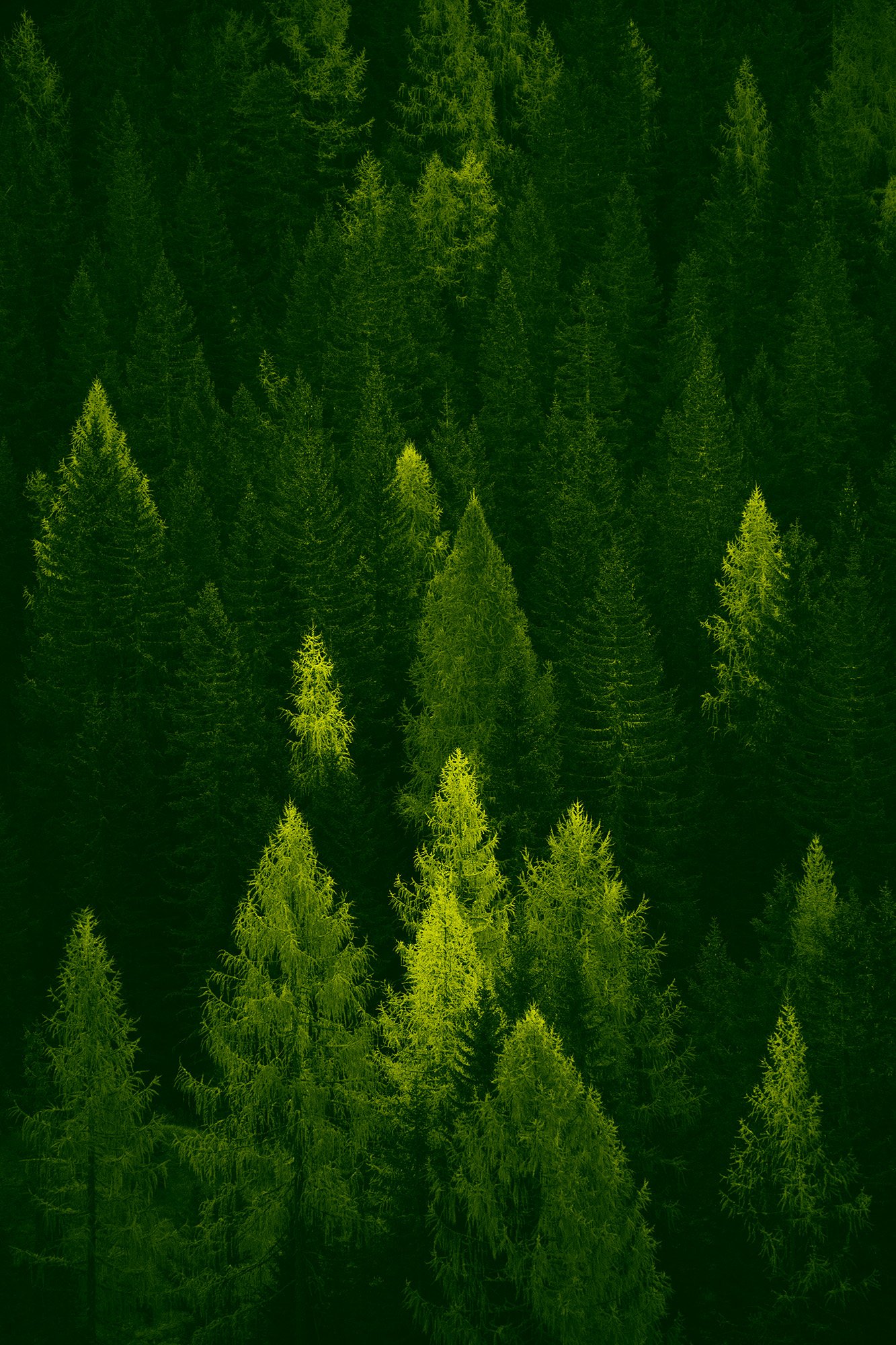 federico-bottos-Z3NceSeZqgI-unsplash@0.5x.jpg