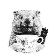 Wombat Tea Party