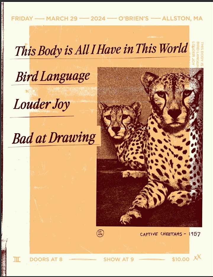 THIS BODY IS ALL I HAVE IN THIS WORLD / LOUDER JOY / BIRD LANGUAGE / BAD AT DRAWING