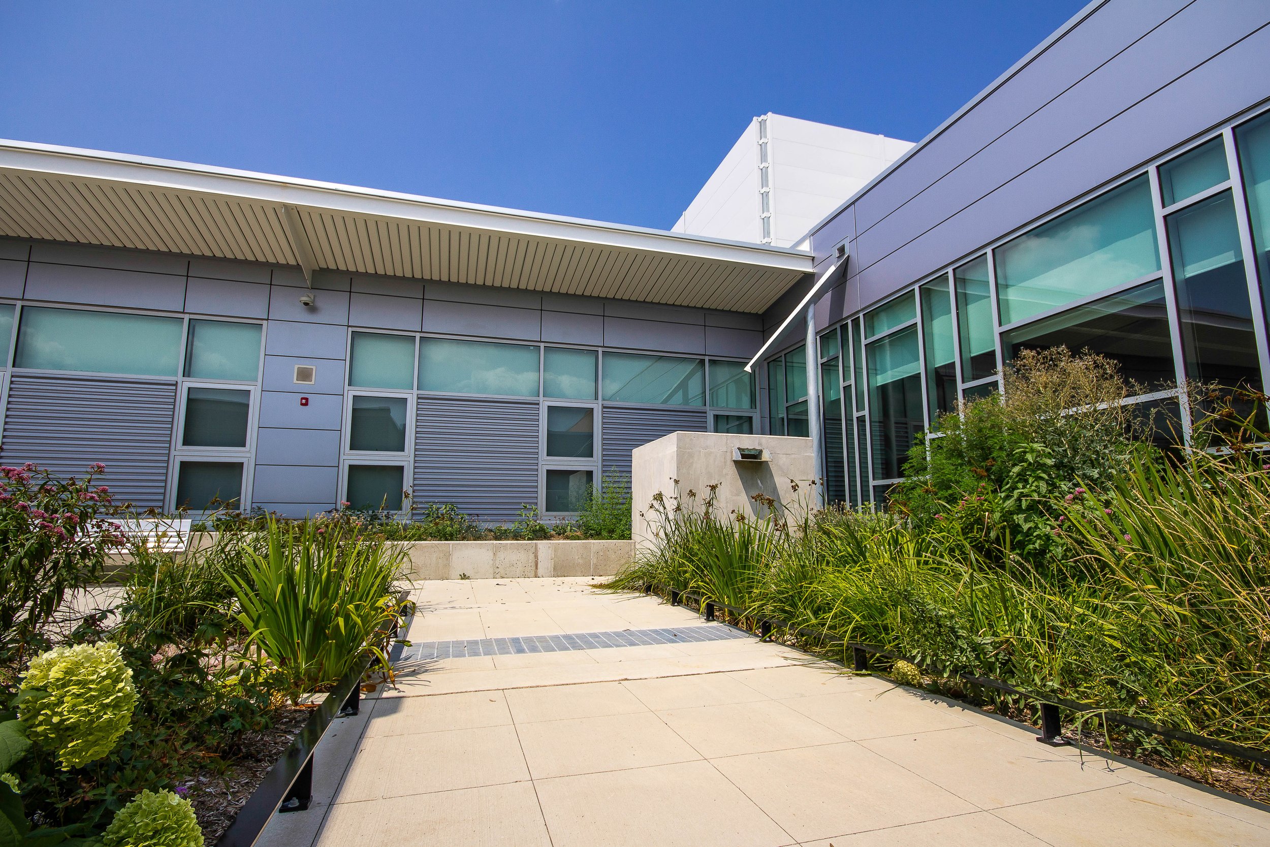 Durkin Park Elementary School_5453.jpg