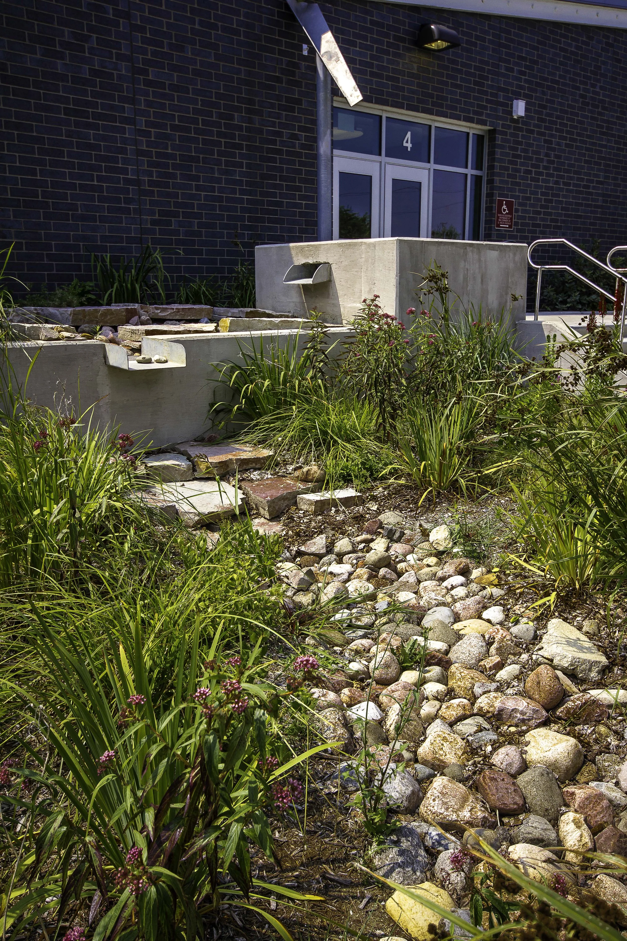 Durkin Park Elementary School_5426.jpg