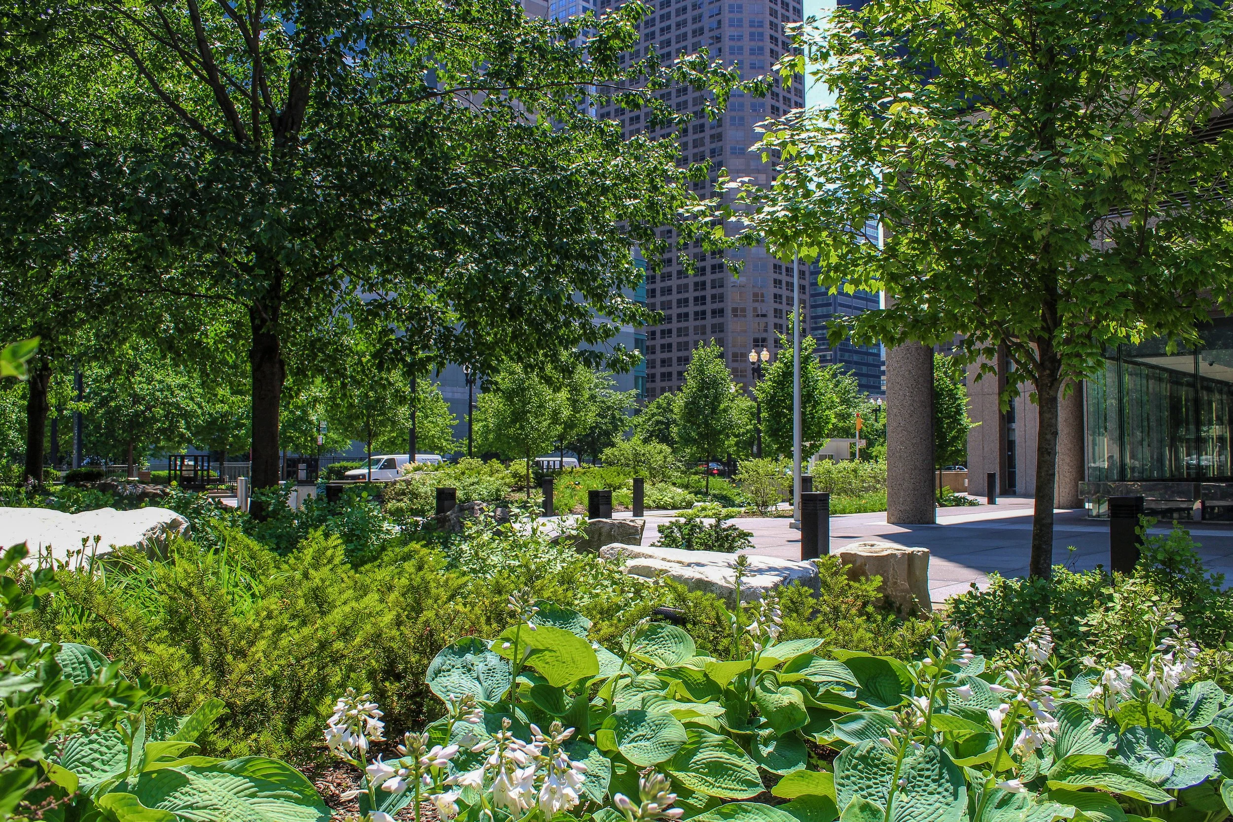 Harold Washington Social Security Center_4018-edit-2.jpg