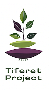 Tiferet Project Mindful Meditation (Zoom)