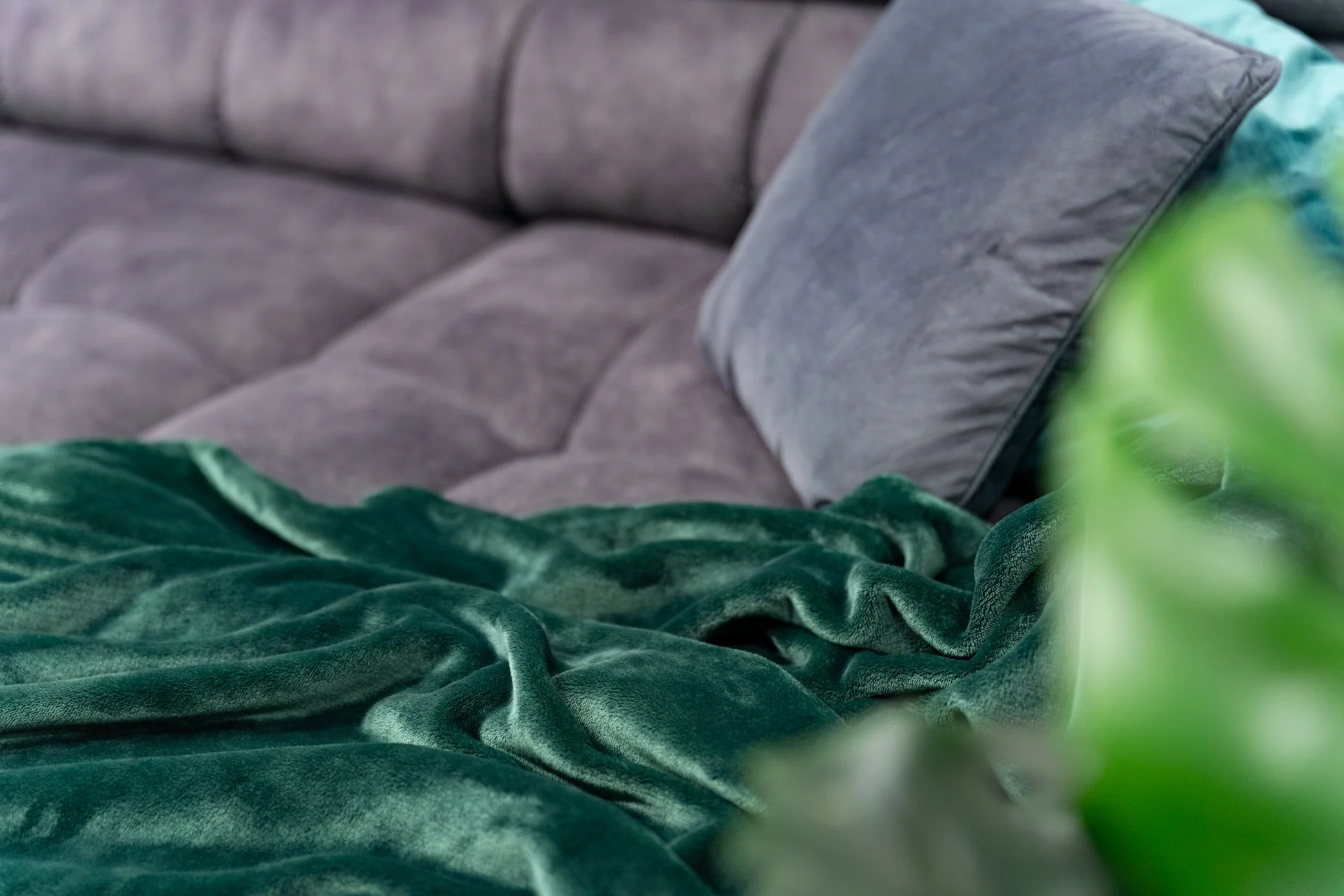 A9108617-Enhanced-NR - Full size.jpg