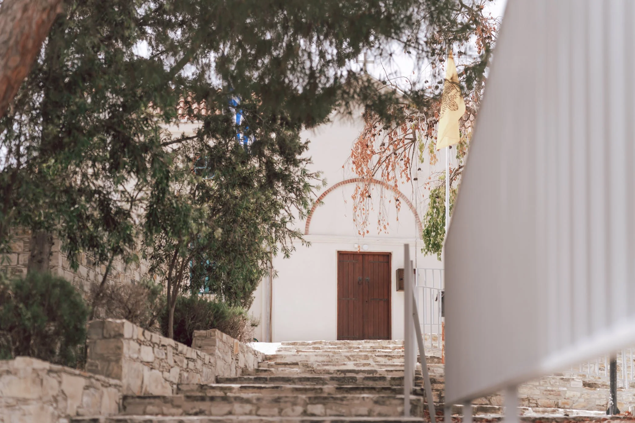 A9106832 - Full size.jpg