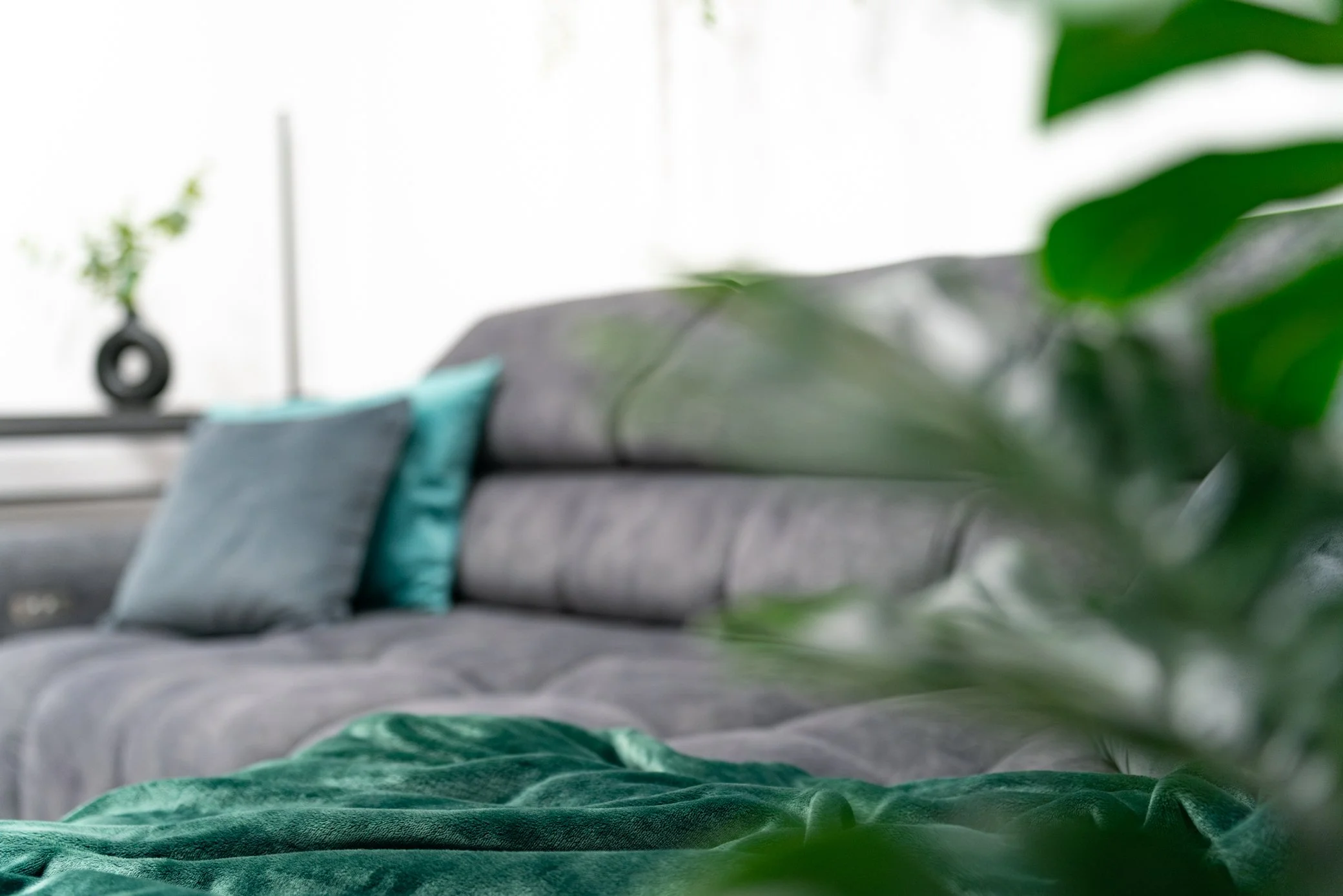 A9108618-Enhanced-NR - Full size.jpg