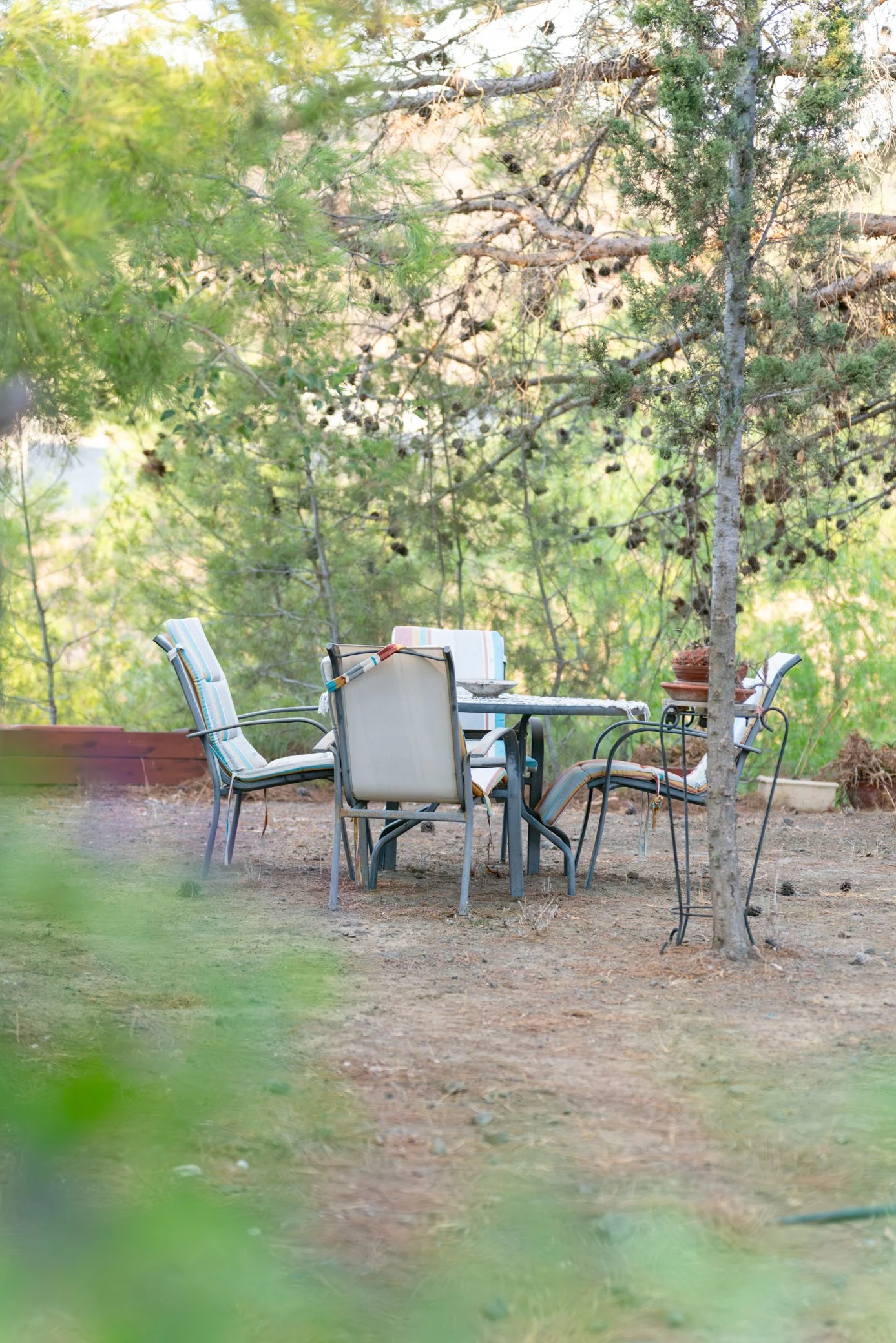 A9106974 - Full size.jpg