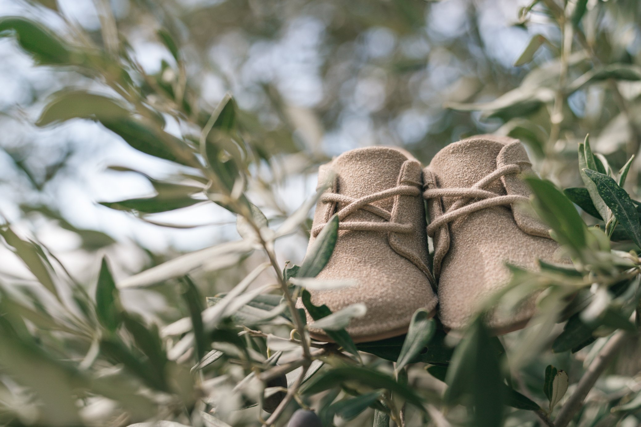 A9107574 - Full size.jpg