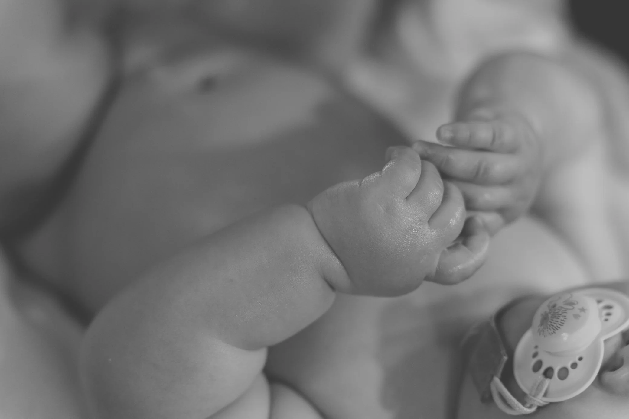 A9108282 - Full size-2.jpg