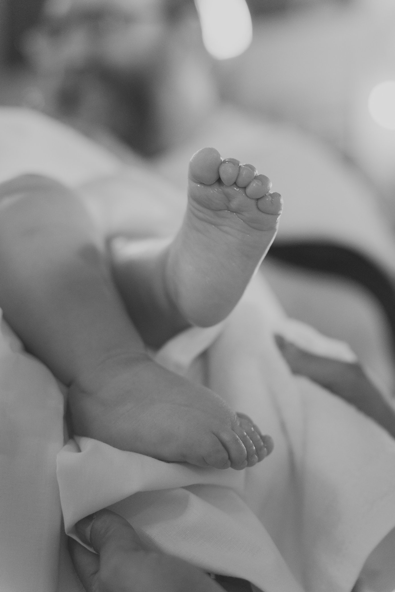 A9108207 - Full size-2.jpg