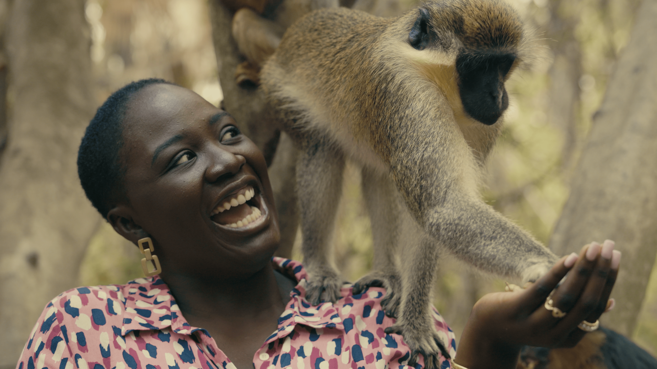 Screenshot 2025-01-22 at 11.19.13-min.png