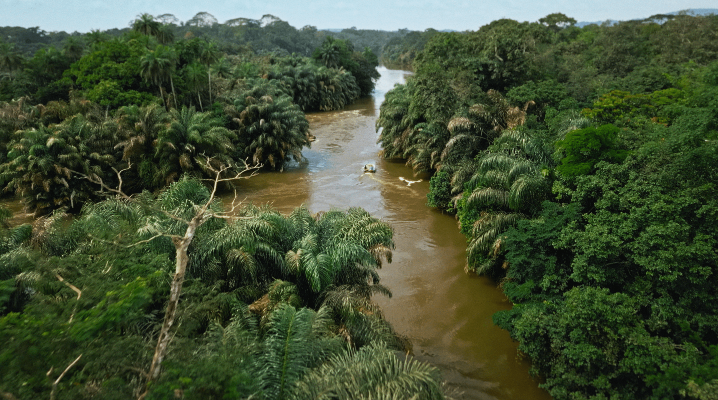 Screenshot 2025-04-02 at 10.07.49-min-min.png