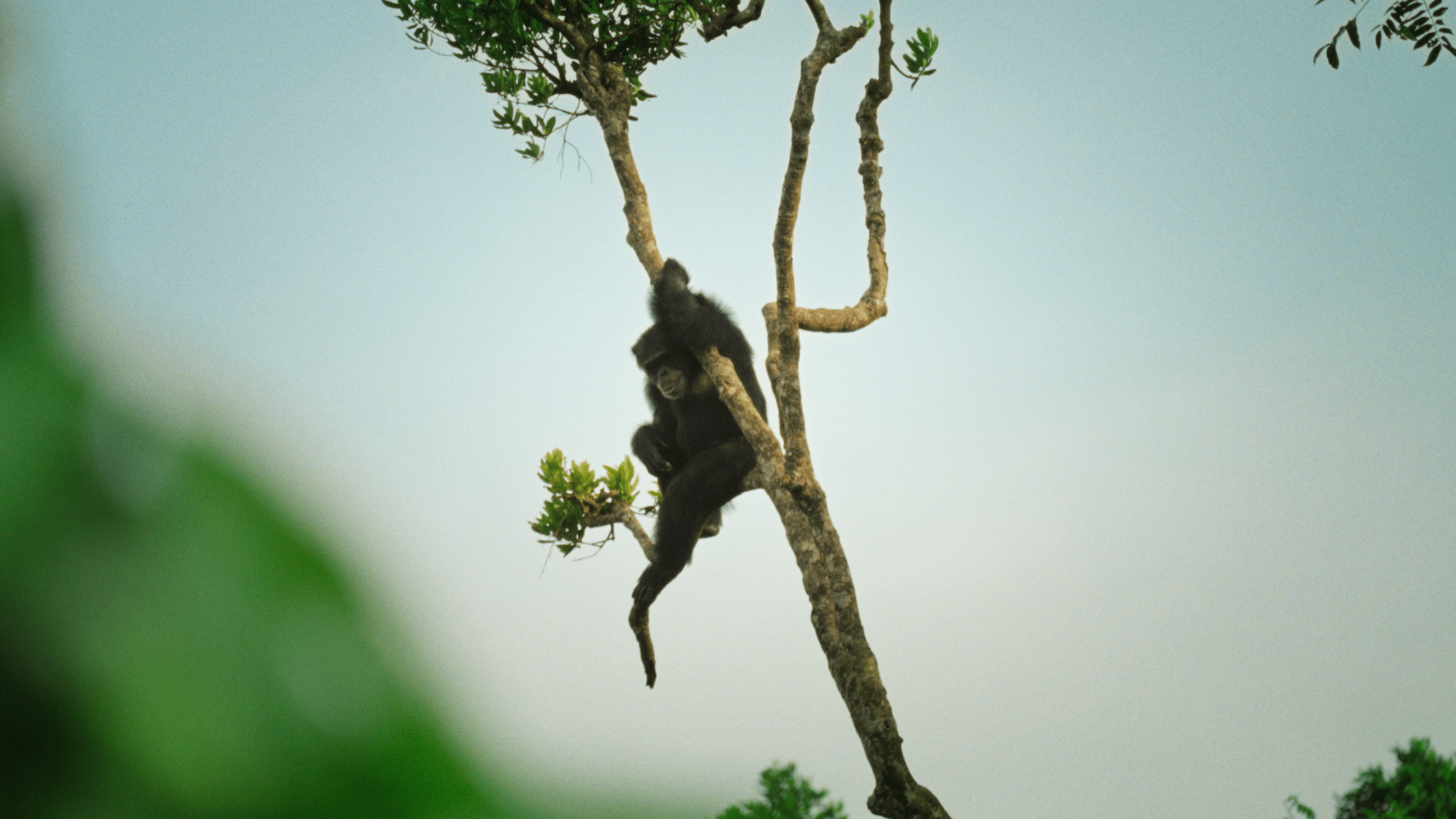 Screenshot 2025-04-16 at 15.02.54-min.png