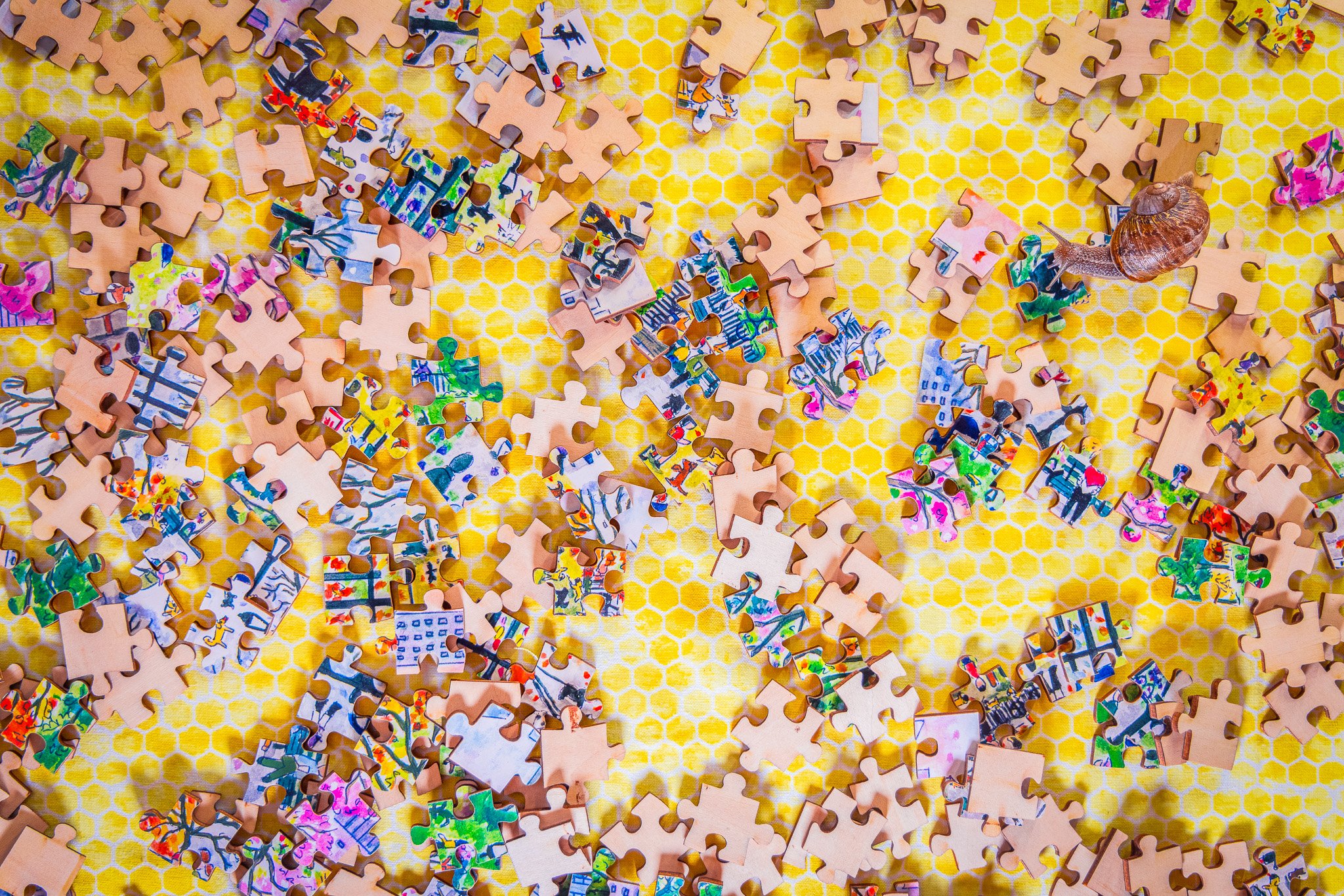 puzzle edit.jpg