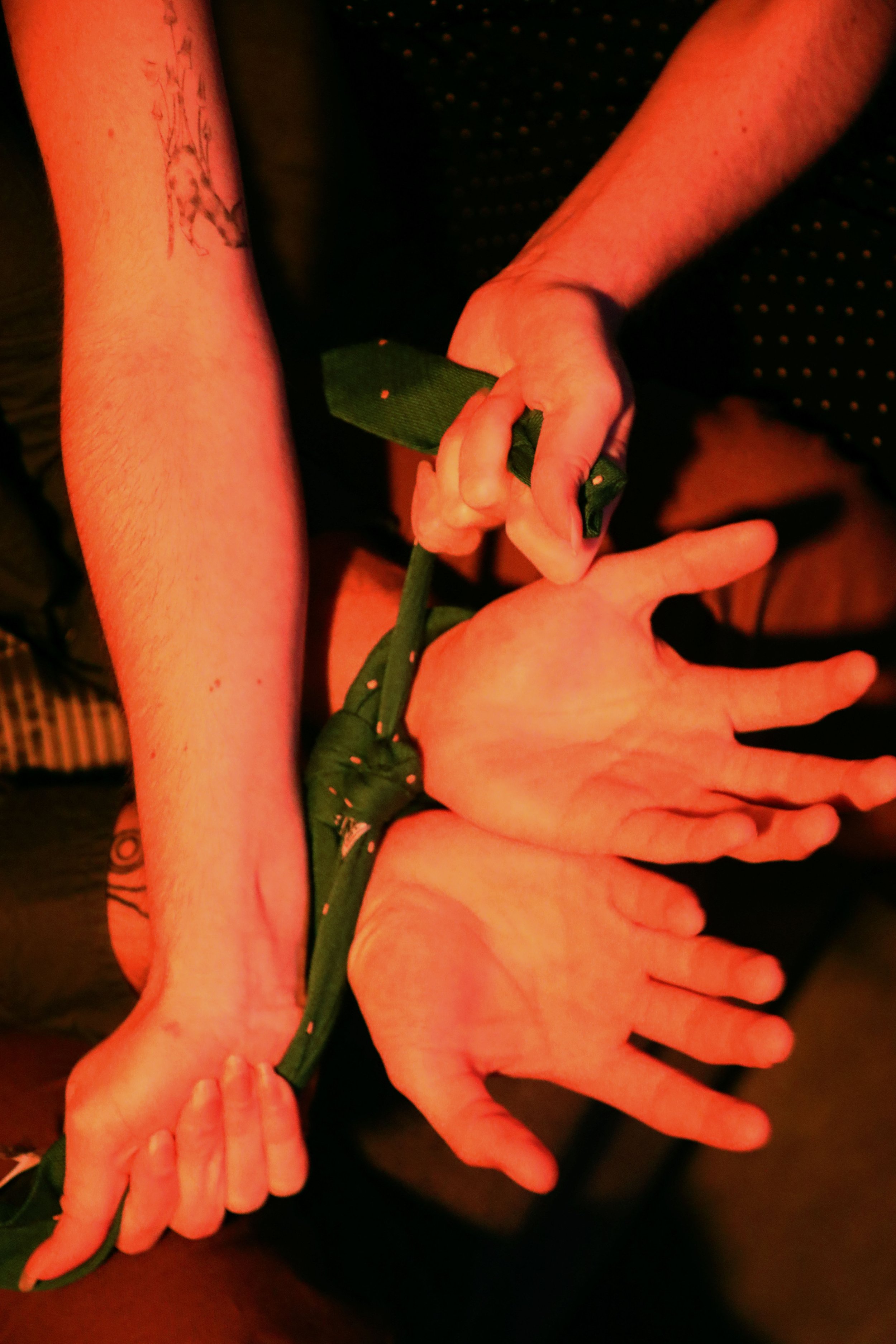 02.jpg