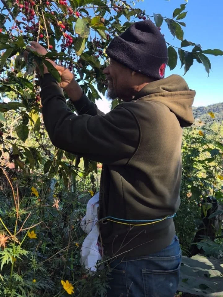 From crop to cup! Join us in this amazing journey of our friend the coffee bean. This experience makes me appreciate every sip of coffee. ✌🏽🙏