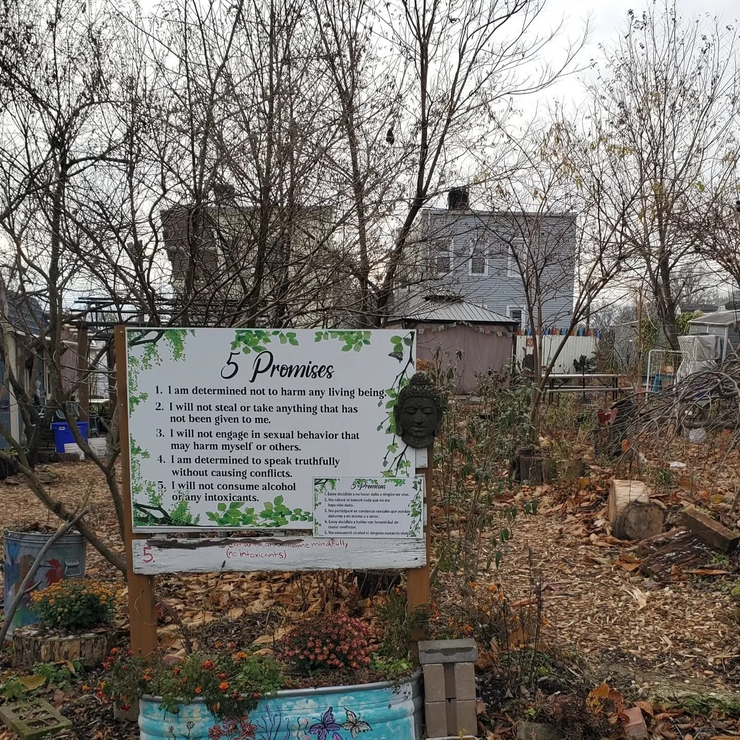 Winter beauty! This is just a different type of beauty reminding us of the impermanent changes of life. Despite the different look,  this space is still a sanctuary to mother nature. ✌🏽 🙏