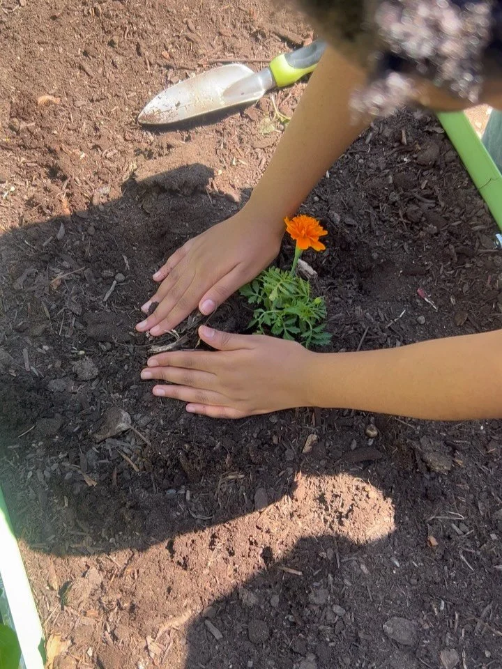 This morning with Avon elementary. We talked about what it means to grow food in an urban farm 🌱 and created a little garden together🫶🏼