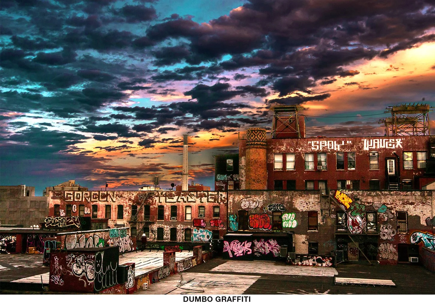 Dumbo Graffiti.jpg
