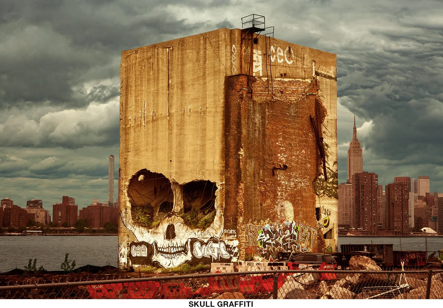 skull.jpg