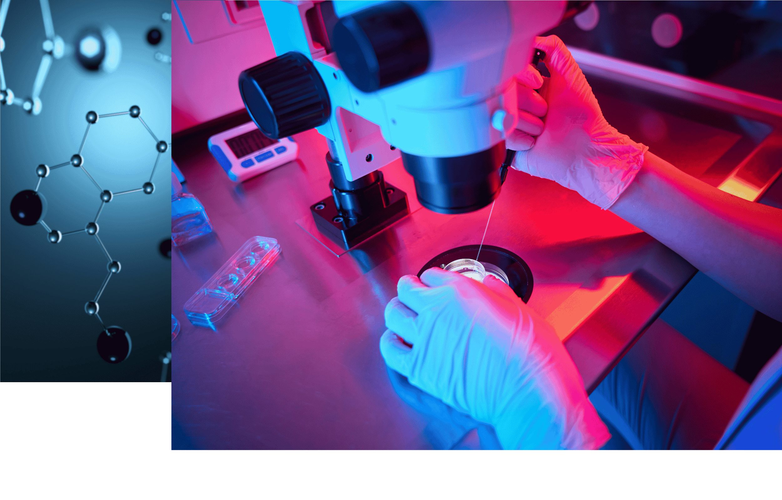  Embrace the Wellness Within 
 Advancing Regenerative Medicine & Holistic Healing 