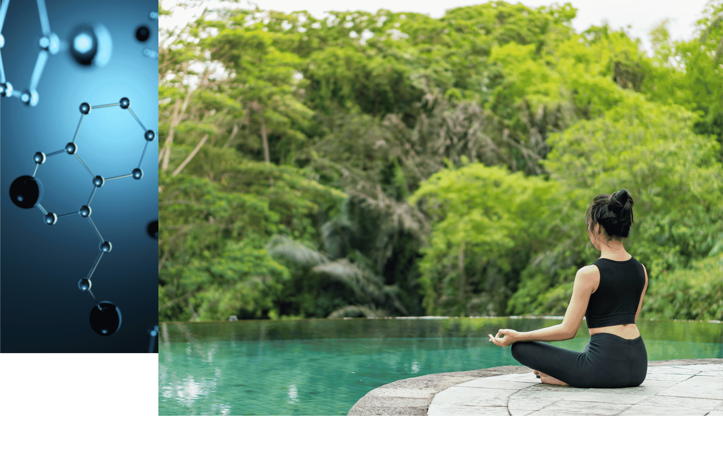  Embrace the Wellness Within 
 Advancing Regenerative Medicine & Holistic Healing 