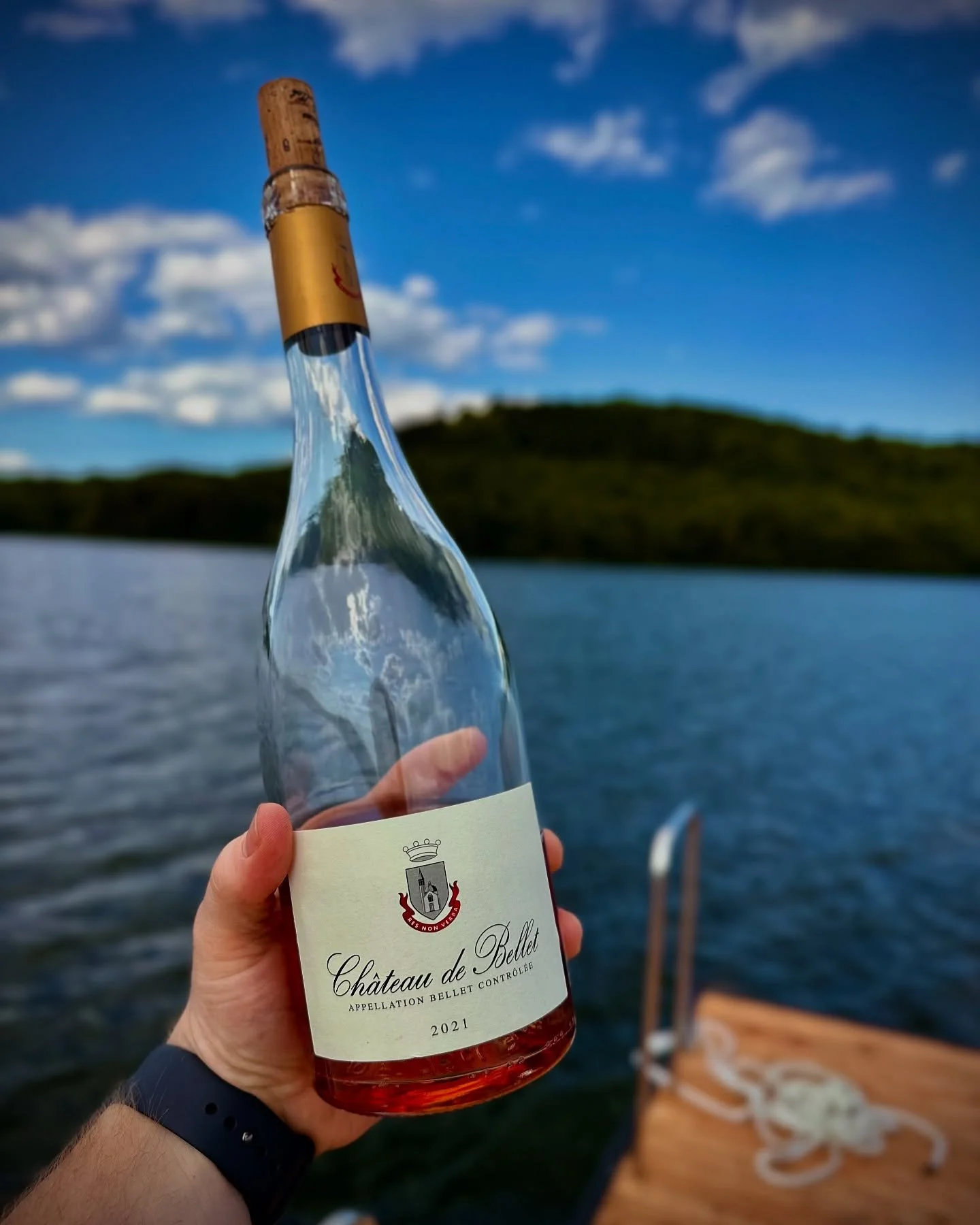 🌸 Le ros&eacute; qui change tout cet &eacute;t&eacute;.

Envie d&rsquo;un ros&eacute; qui se d&eacute;marque ?
Le Ros&eacute; du Ch&acirc;teau de Bellet 2024 arrive tout droit des hauteurs de Nice, o&ugrave; les vignes surplombent la M&eacute;diterr