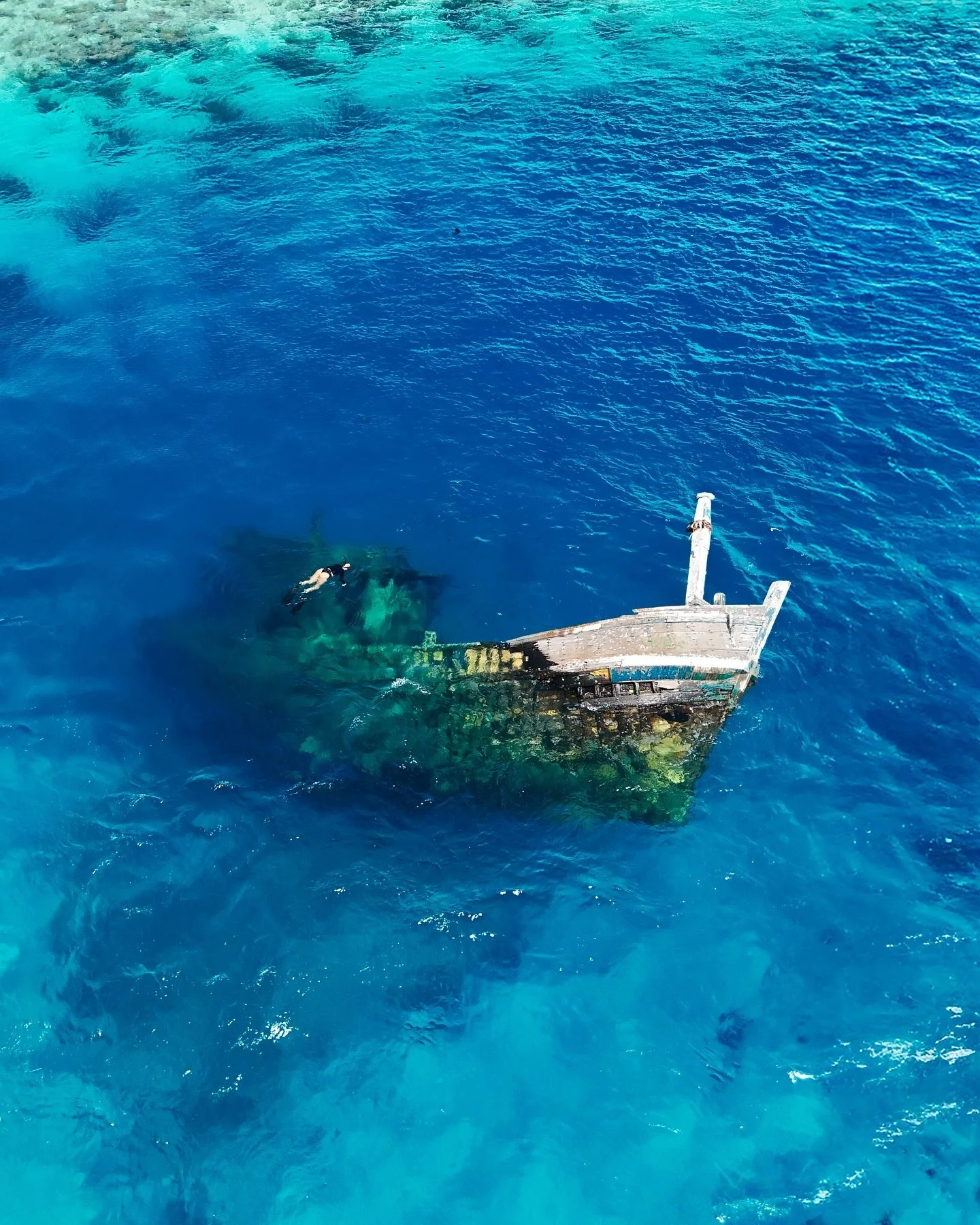 ⚓️ Exploring Vaavu shipwreck with&hellip;
🏨 @AkiriDhigurah
📷 @meet.maren
🧜🏼&zwj;♀️ @laura_danaritter 
🗺️ #Vaavu, #Maldives