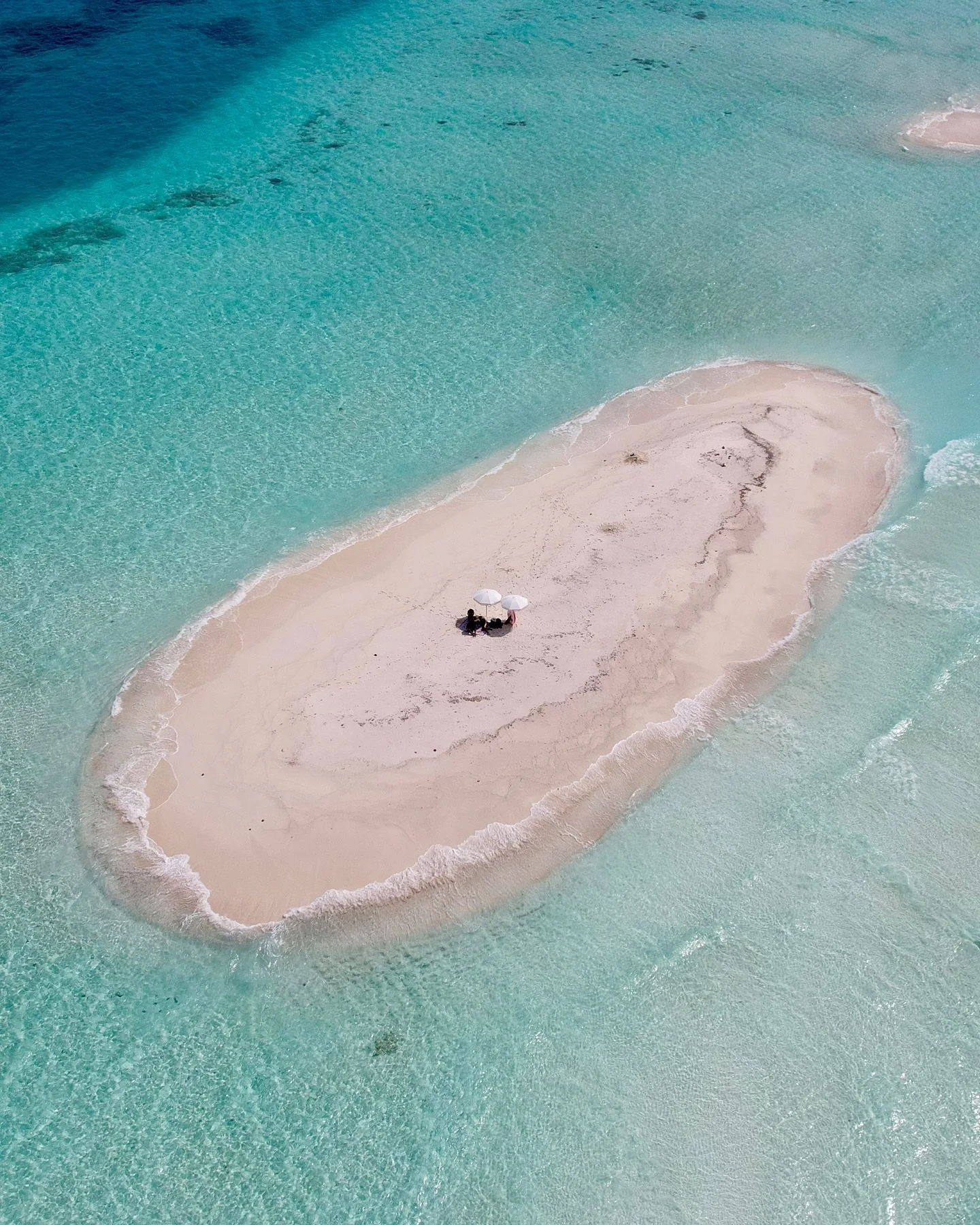 Relax with fruits and cool drinks under an umbrella and discover  marine sea life as you snorkel around this small sandy elevation  by joining one of our trips with @AkiriDhigurah 🏝️

🏨 @AkiriDhigurah
📷 @meet.maren
🗺️ #Dhigurah, #Maldives
