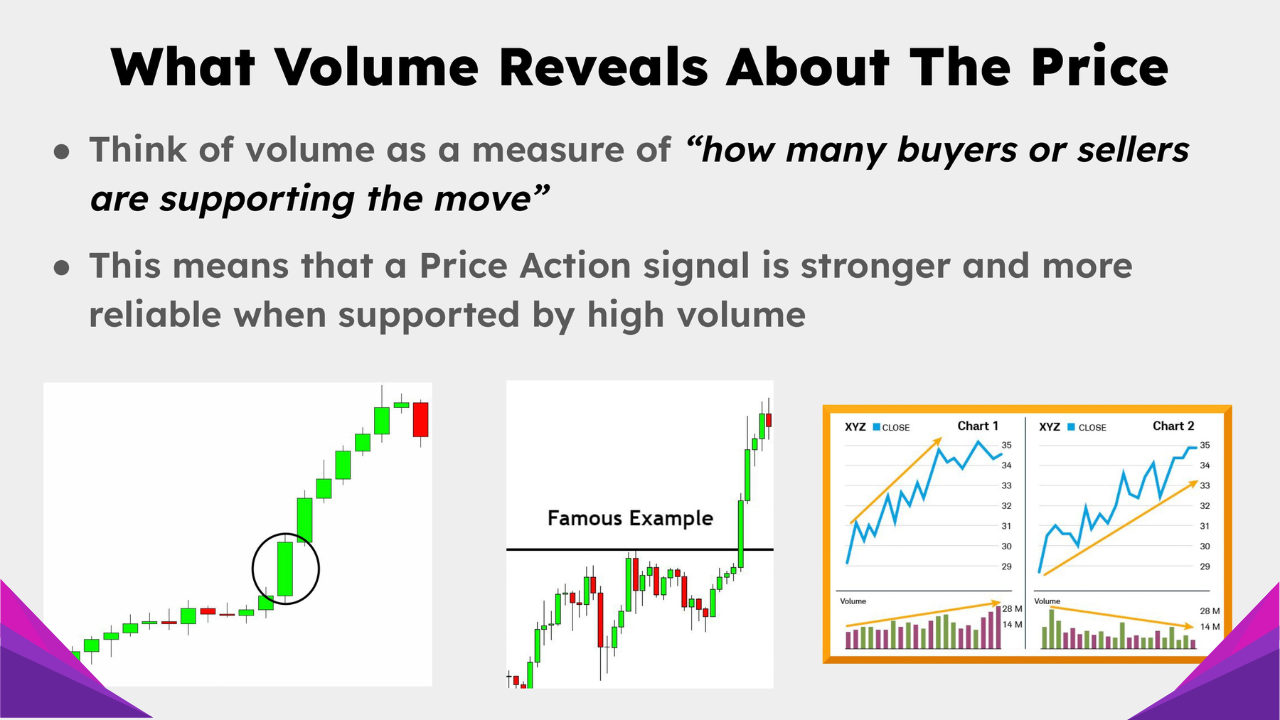 Mastering Price Action Trading: The Complete Guide for Stocks, Forex ...