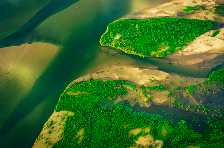 Screen Shot 2024-02-07 at 3.53.25 PM.png