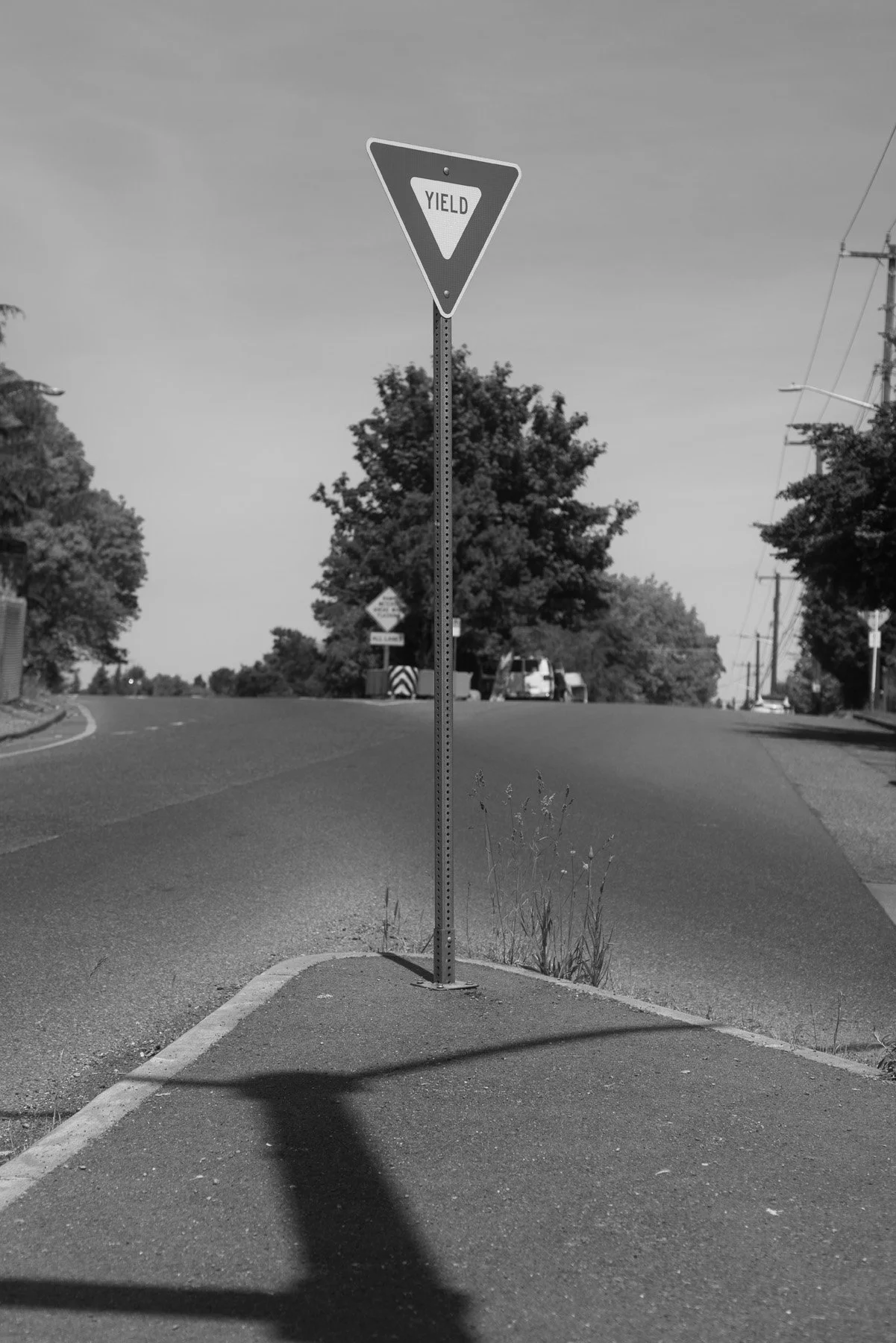 RCR59375.jpg