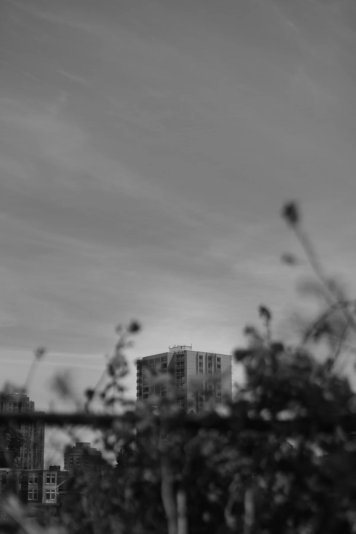 RCR59463.jpg