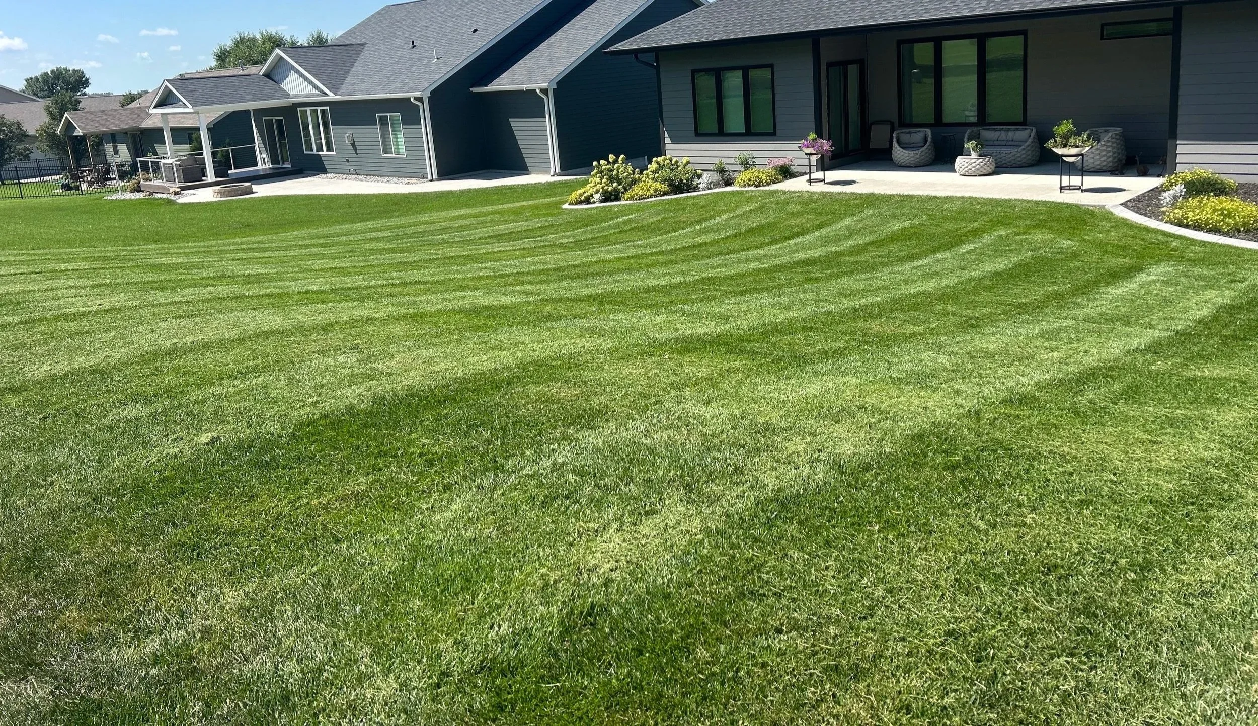 Jolene+Lawn.jpg